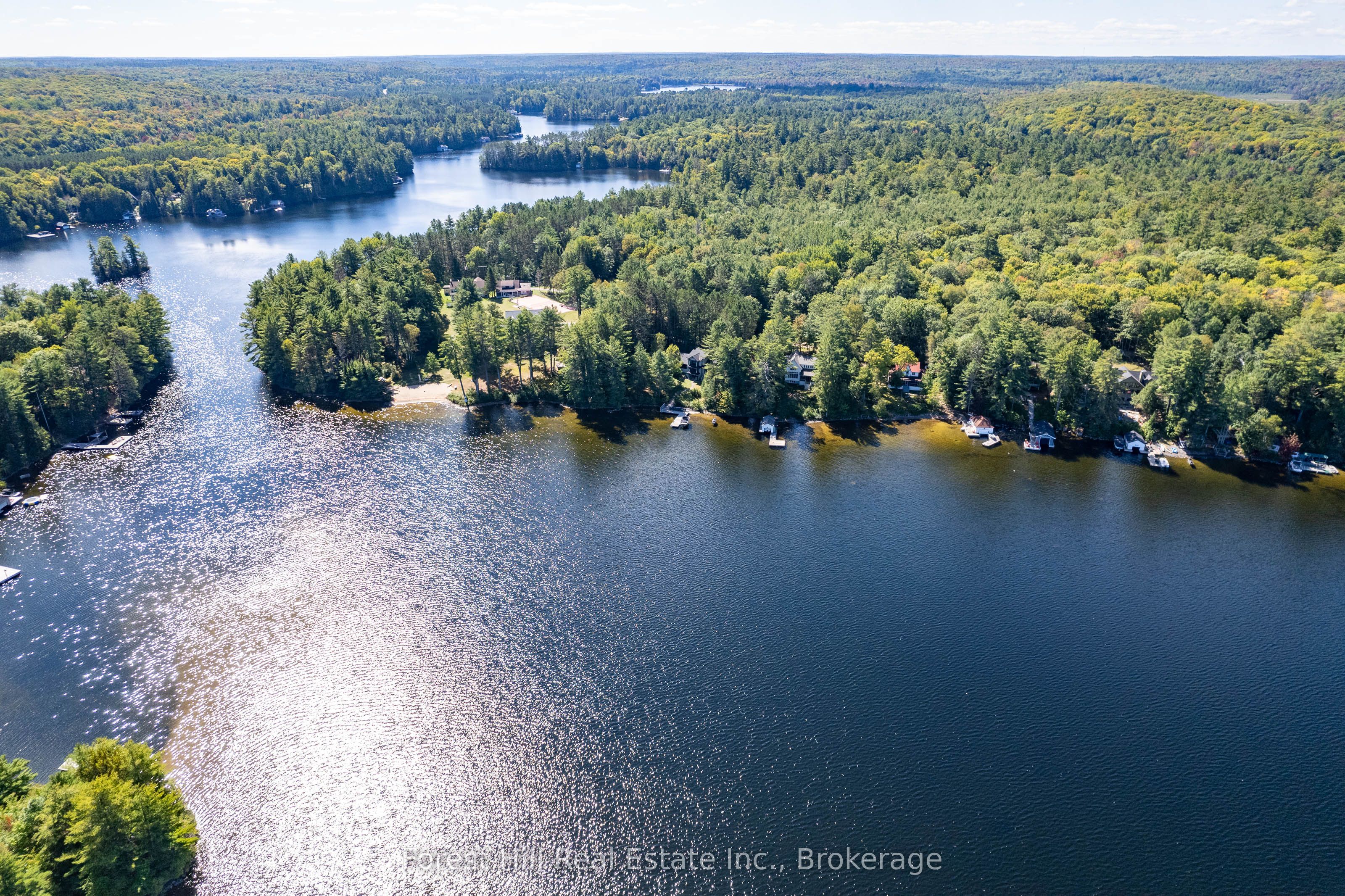 2991 Muskoka Rd 117 Road 2, Lake of Bays, ON P0B 1A0 photo 5