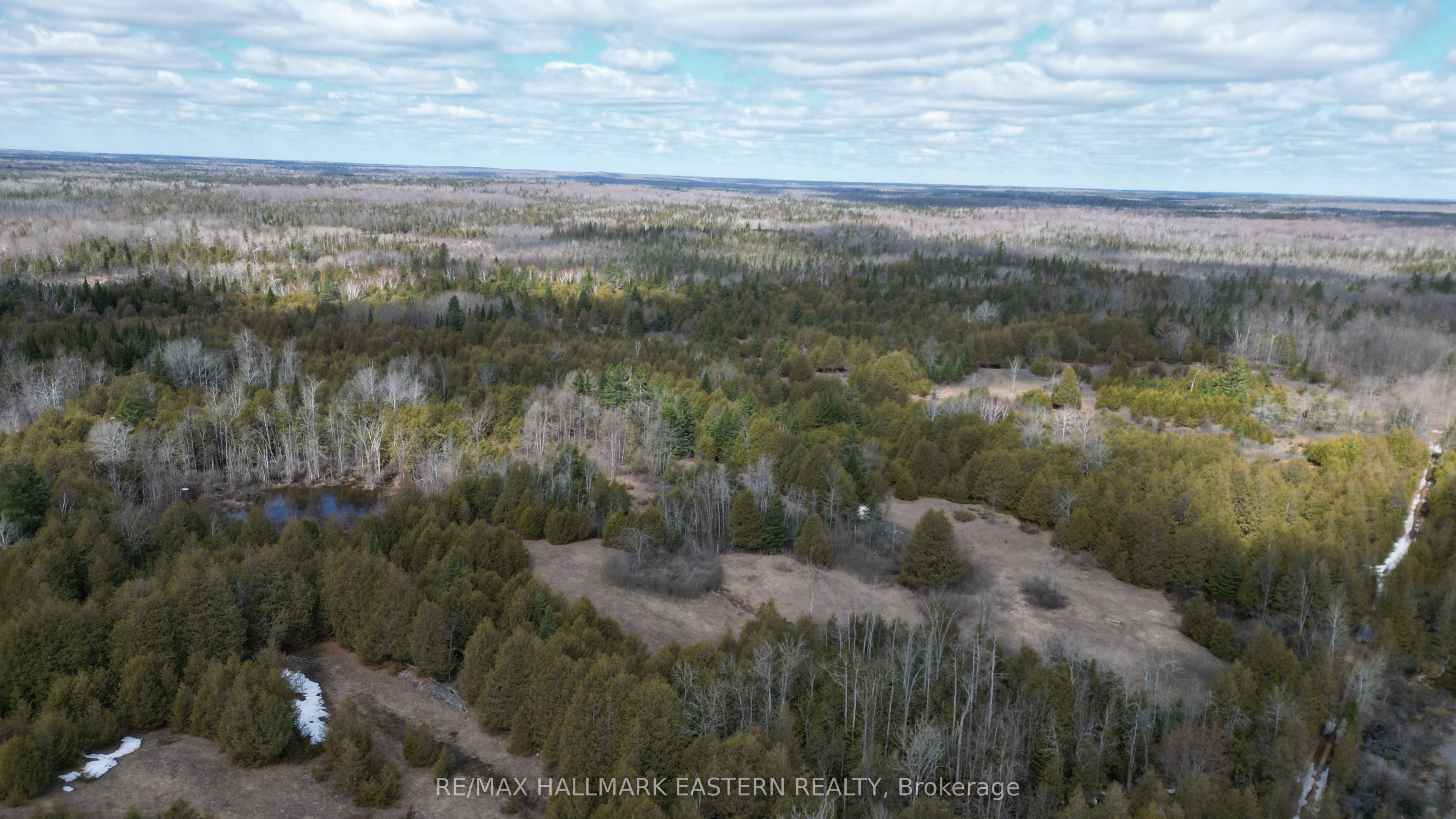 509 12th Line Dummer Road, Douro-Dummer, ON K0L 2V0 photo 4