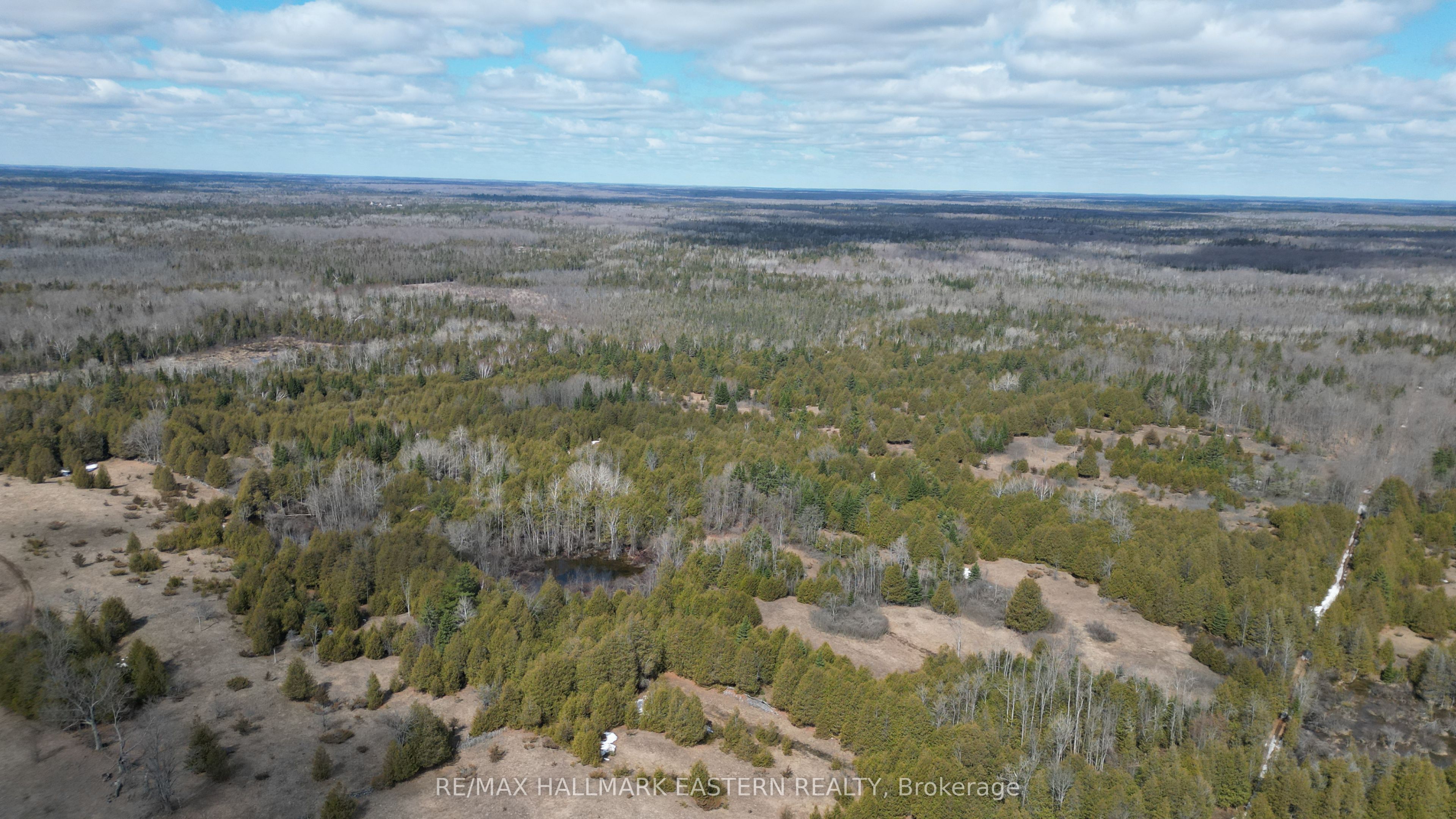 509 12th Line Dummer Road, Douro-Dummer, ON K0L 2V0 photo 5
