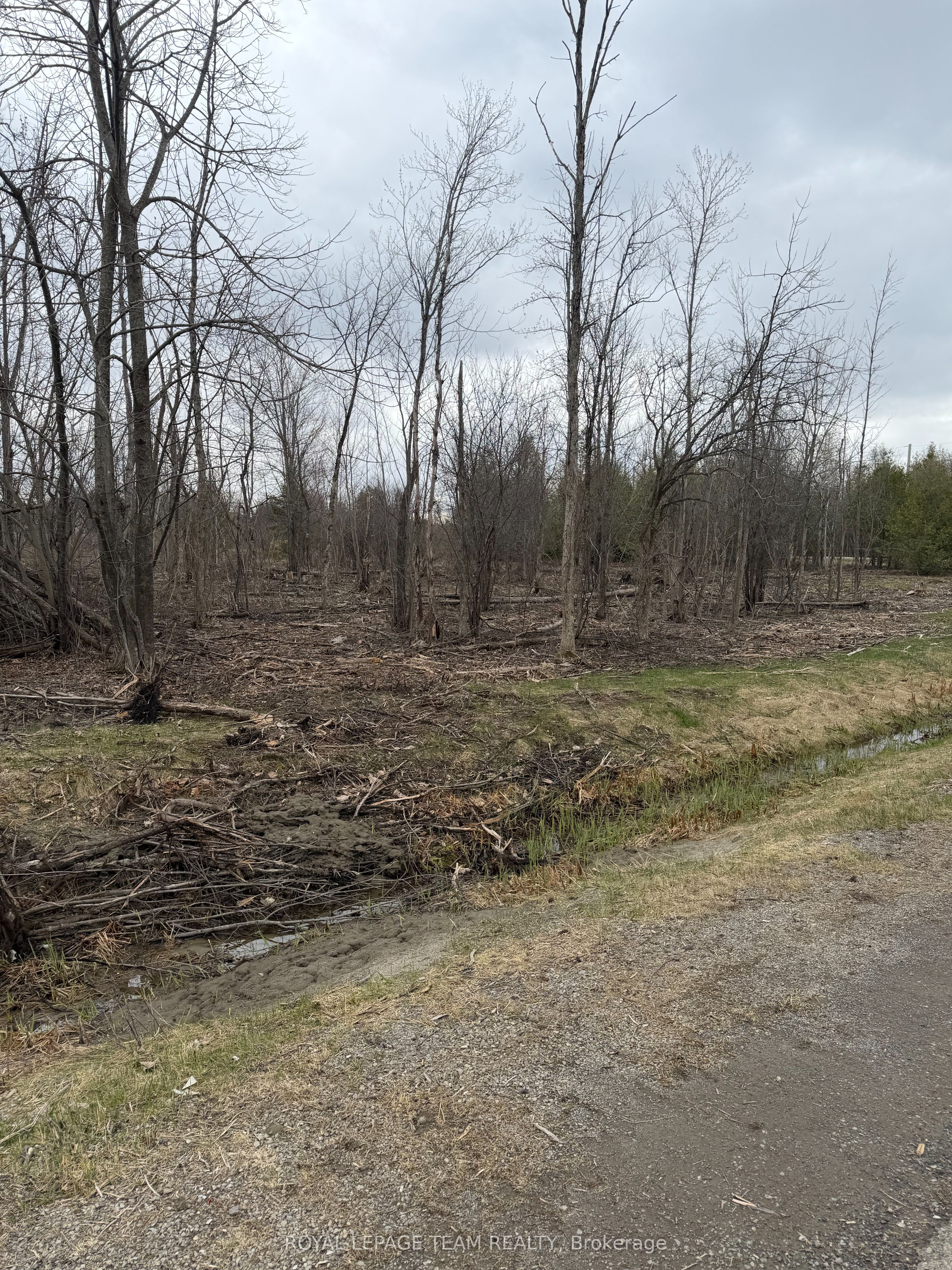 8074 Adam Baker Way, Greely - Metcalfe - Osgoode - Vernon and Area, ON K0A 2P0 photo 5