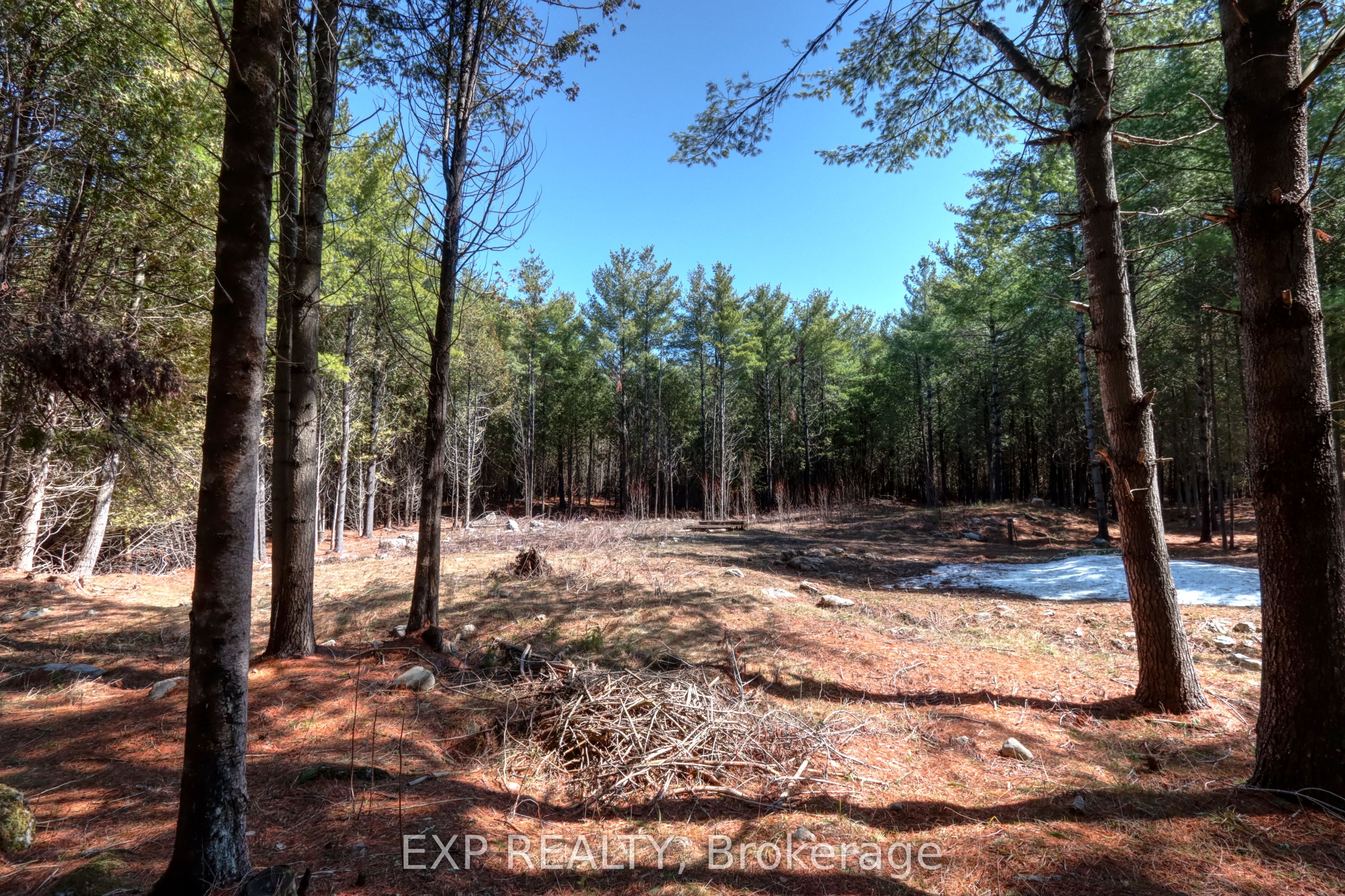593 County 40 Road, Douro-Dummer, ON K0L 2V0 photo 2