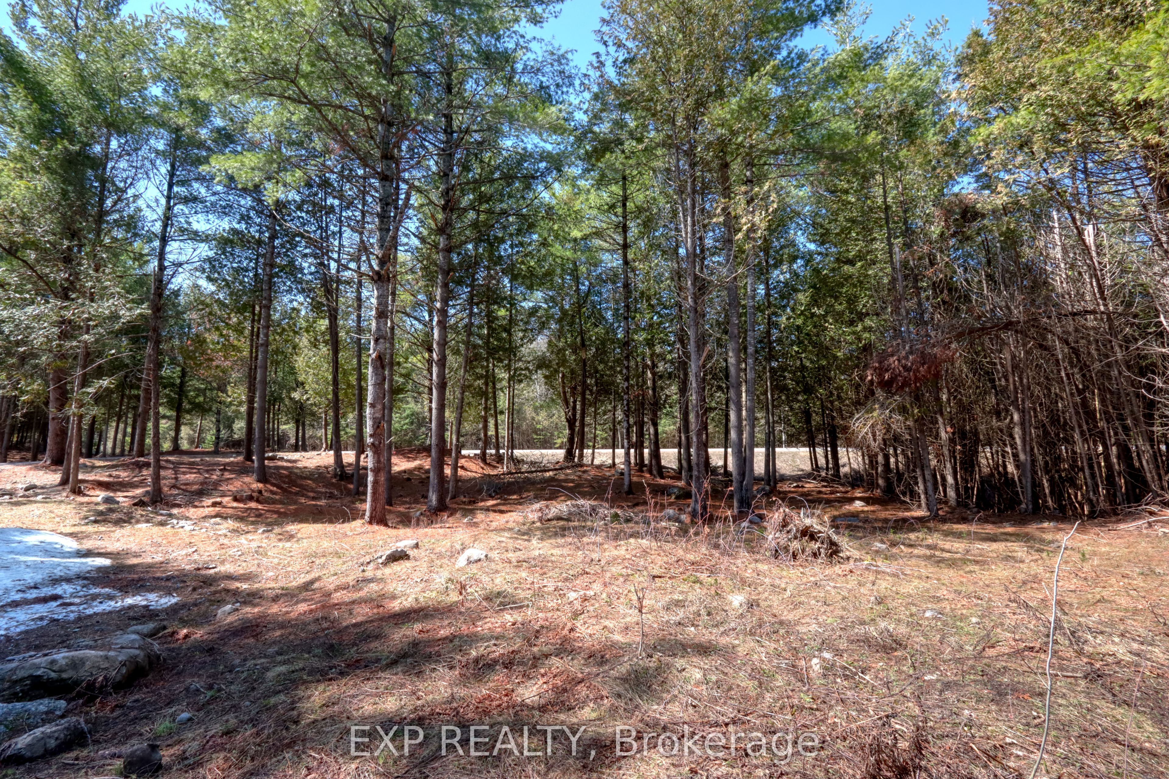 593 County 40 Road, Douro-Dummer, ON K0L 2V0 photo 3