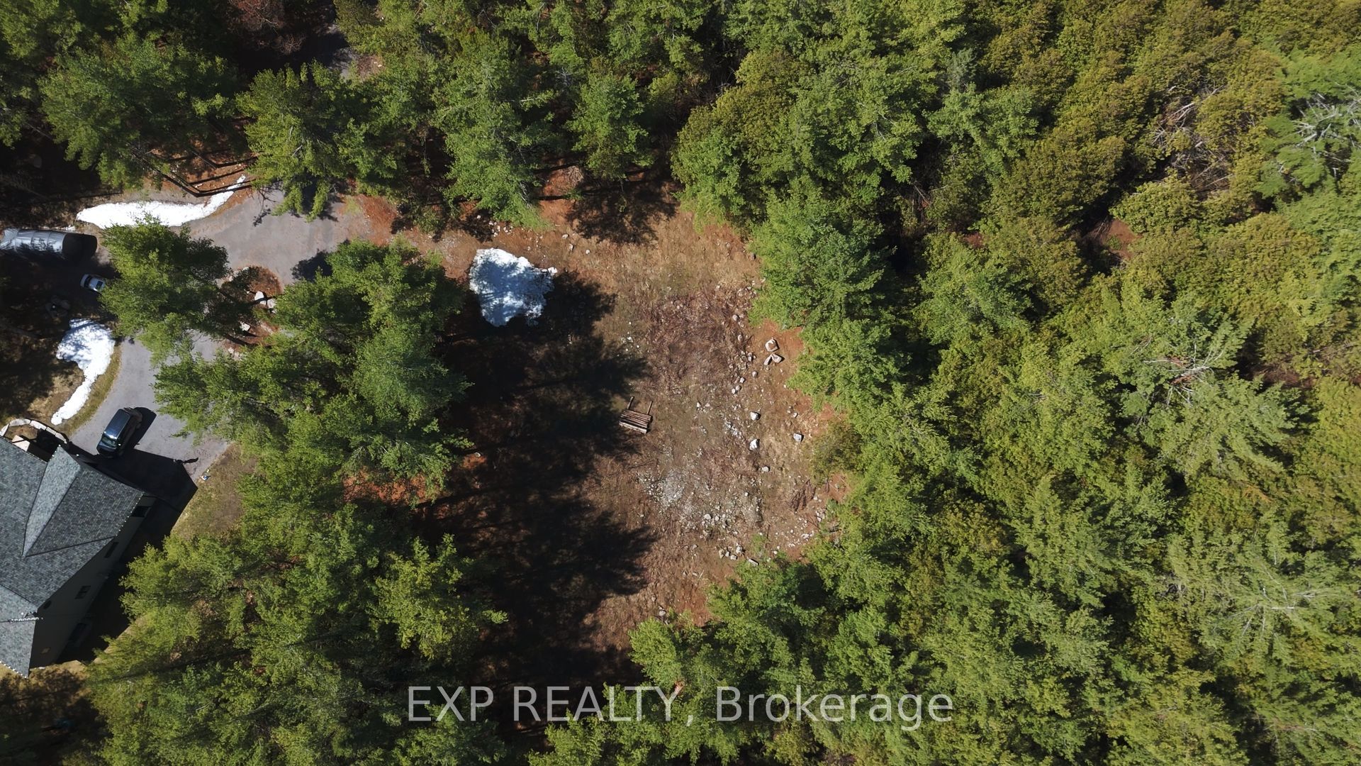 593 County 40 Road, Douro-Dummer, ON K0L 2V0 photo 5