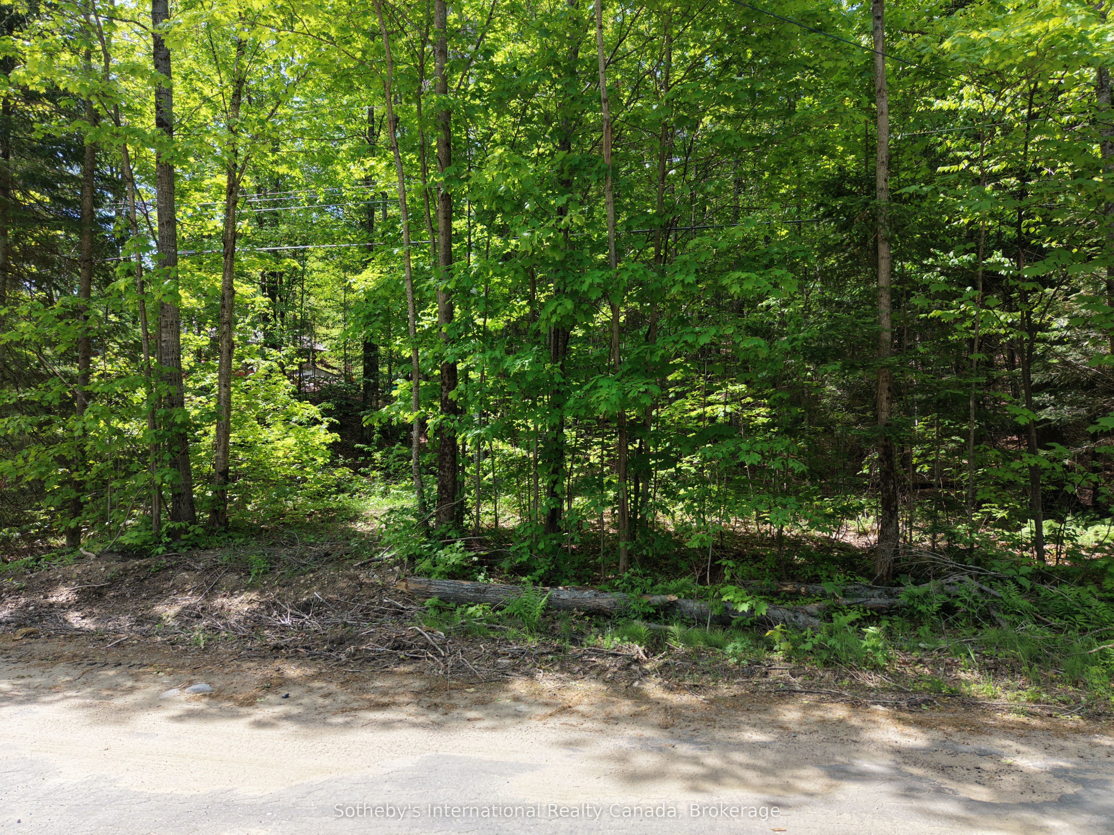 0 Mink Lot 17 Road, Dysart et al, ON K0M 1S0 photo 5
