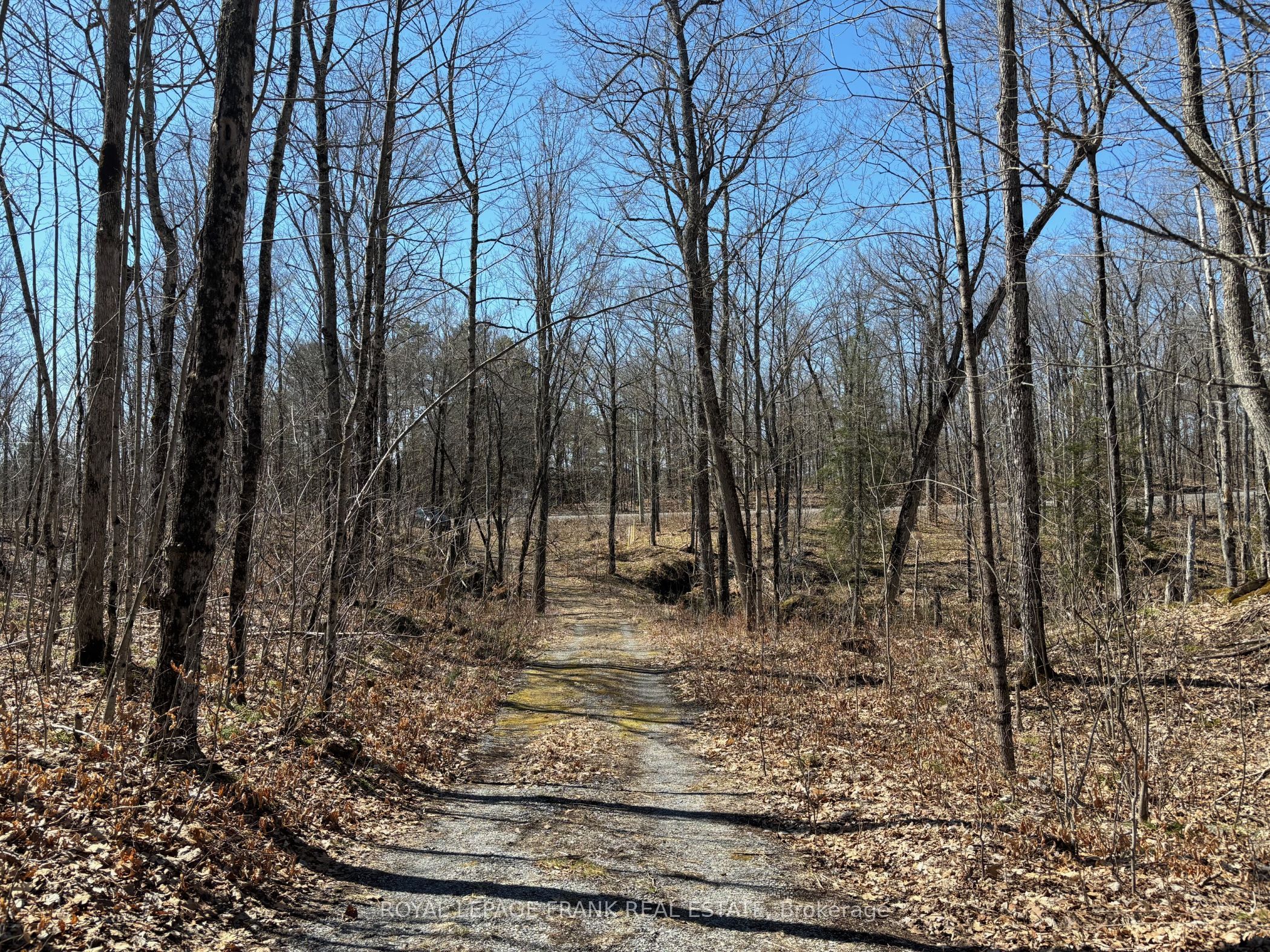 185 Julian Lake Road, North Kawartha, ON K0L 3E0 photo 4