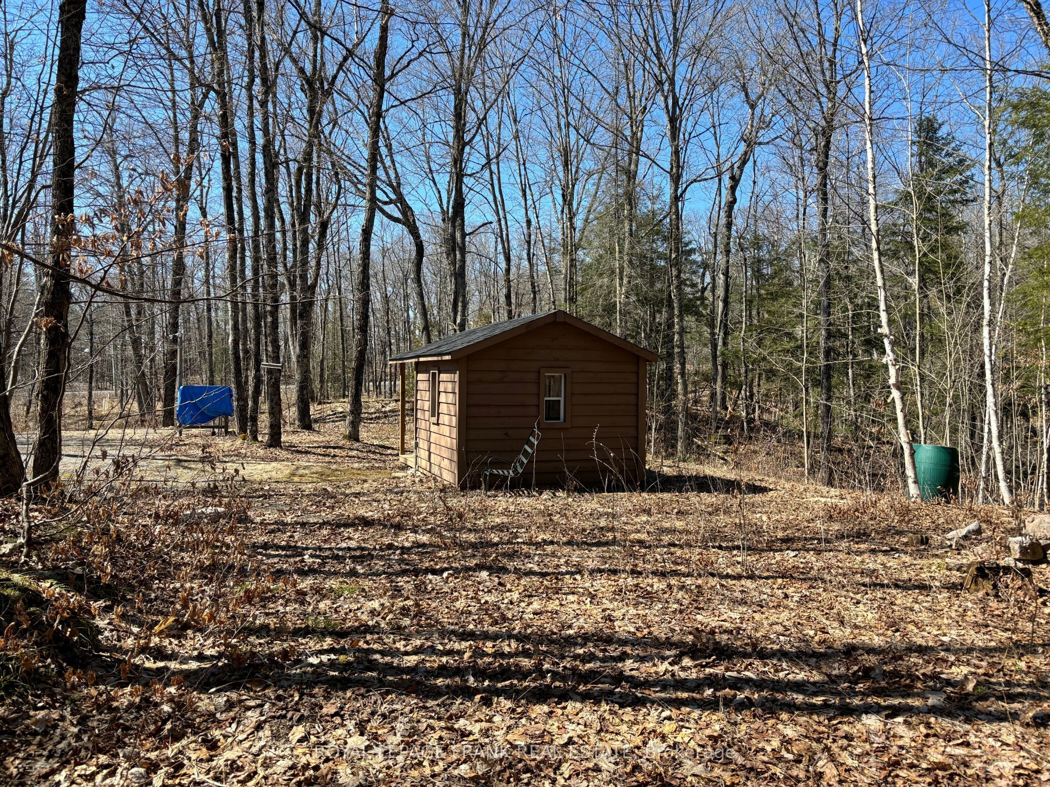 185 Julian Lake Road, North Kawartha, ON K0L 3E0 photo 5