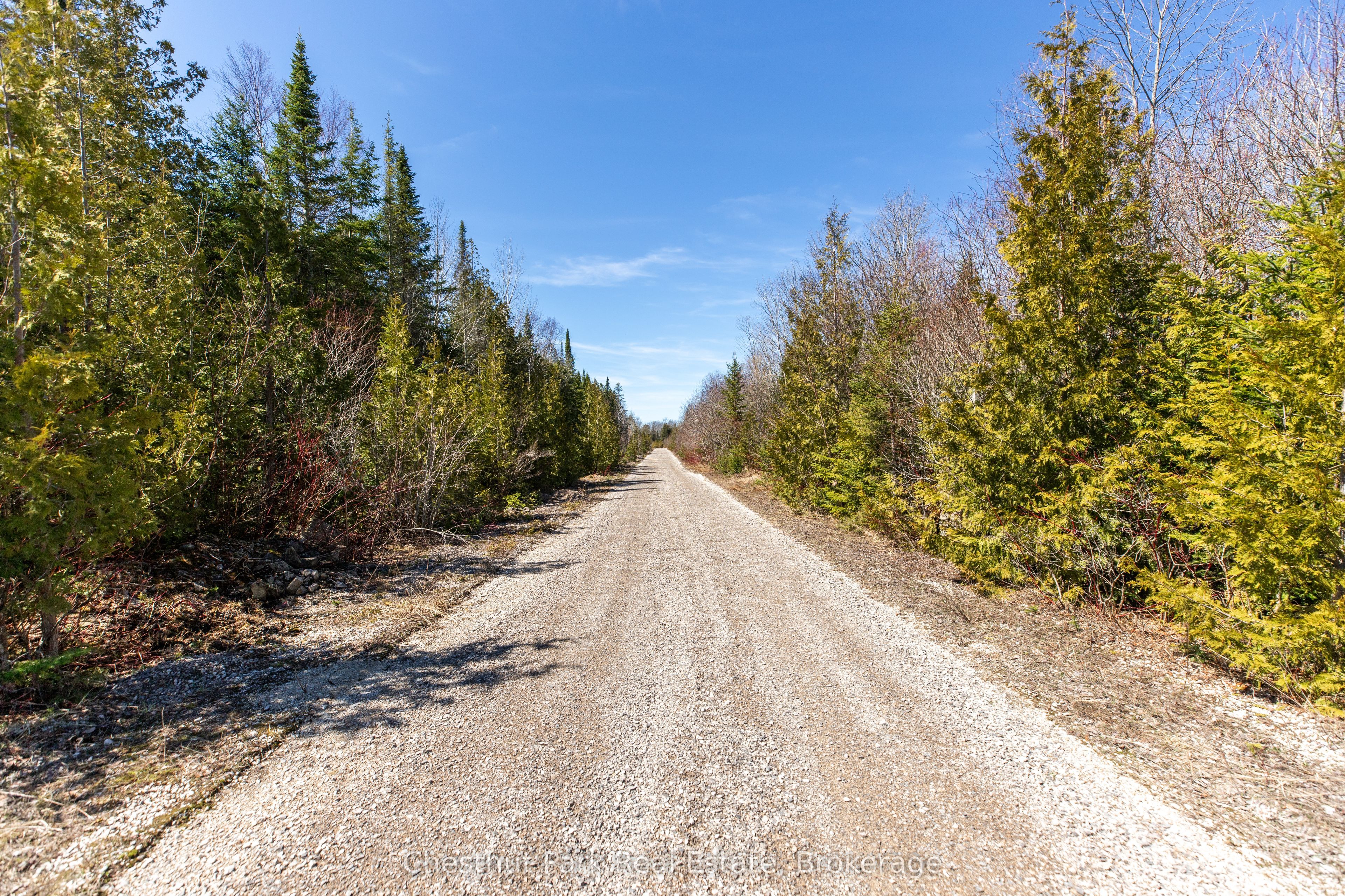 1137 SUNSET Drive, South Bruce Peninsula, ON N0H 2T0 photo 4