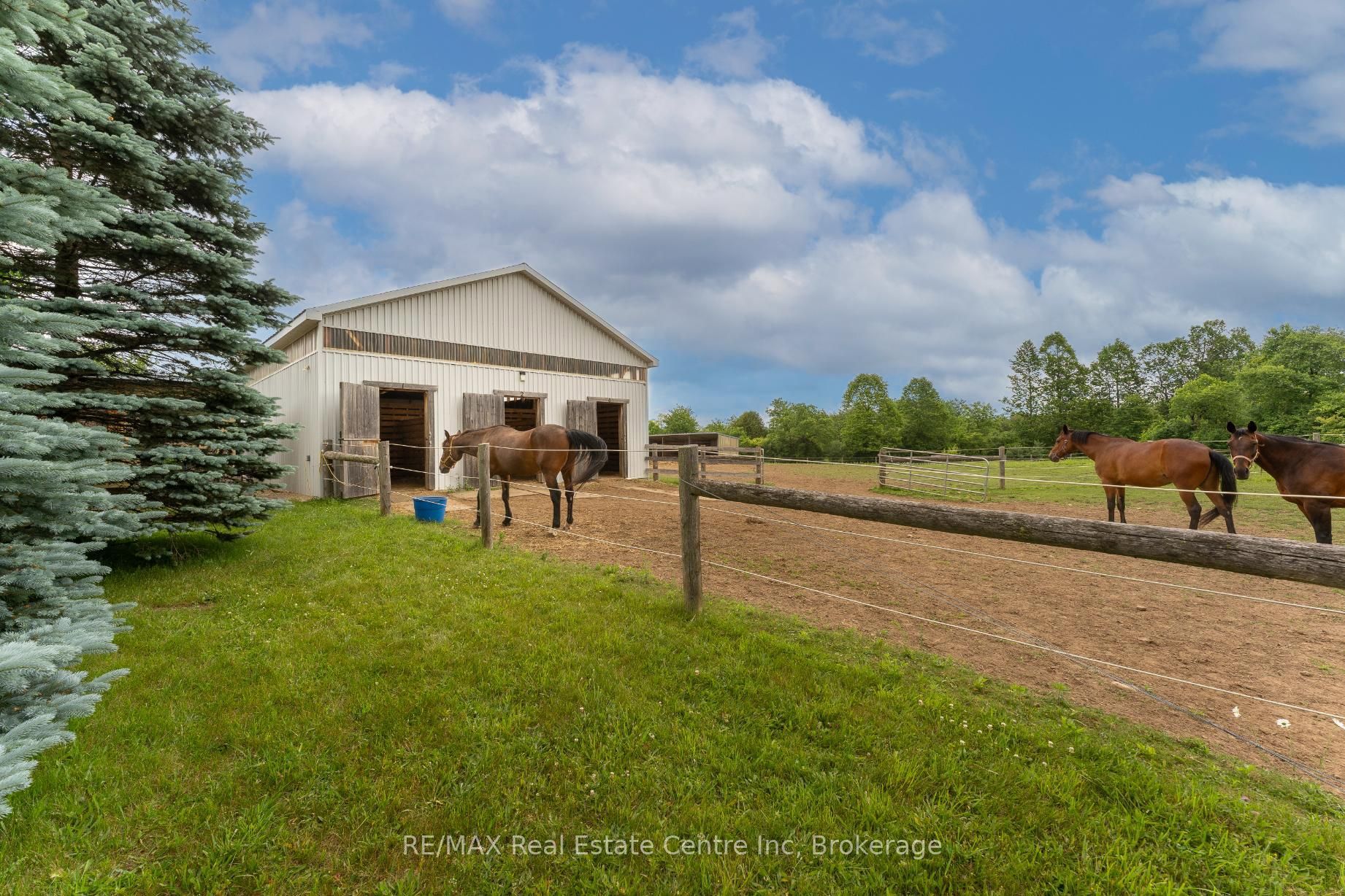 3988 Hwy 6 Highway, Puslinch, ON N0B 2J0 photo 2