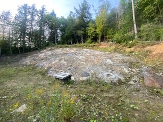 232 Clarke Road, Highlands East, ON K0L 2A0