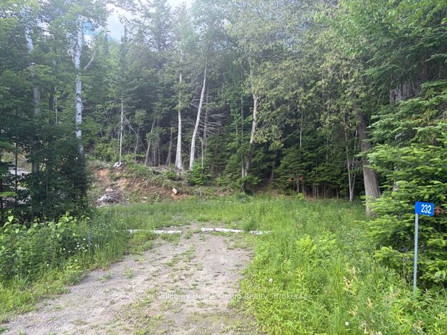 232 Clarke Road, Highlands East, ON K0L 2A0 photo 4
