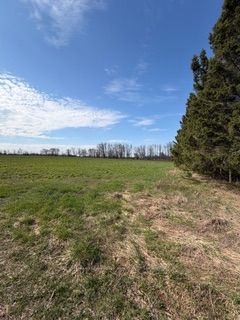 501426 Grey 1 Road, Georgian Bluffs, ON N0H 2T0 photo 4