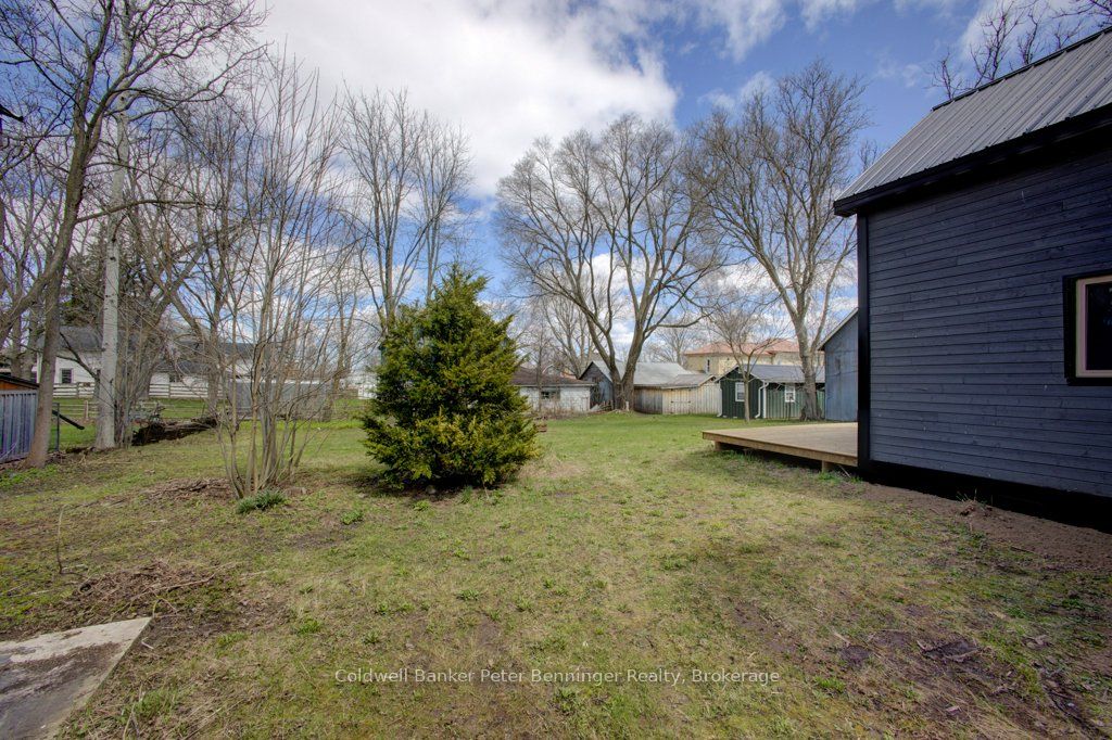 250 Alma Street, Arran-Elderslie, ON N0G 2N0 photo 4