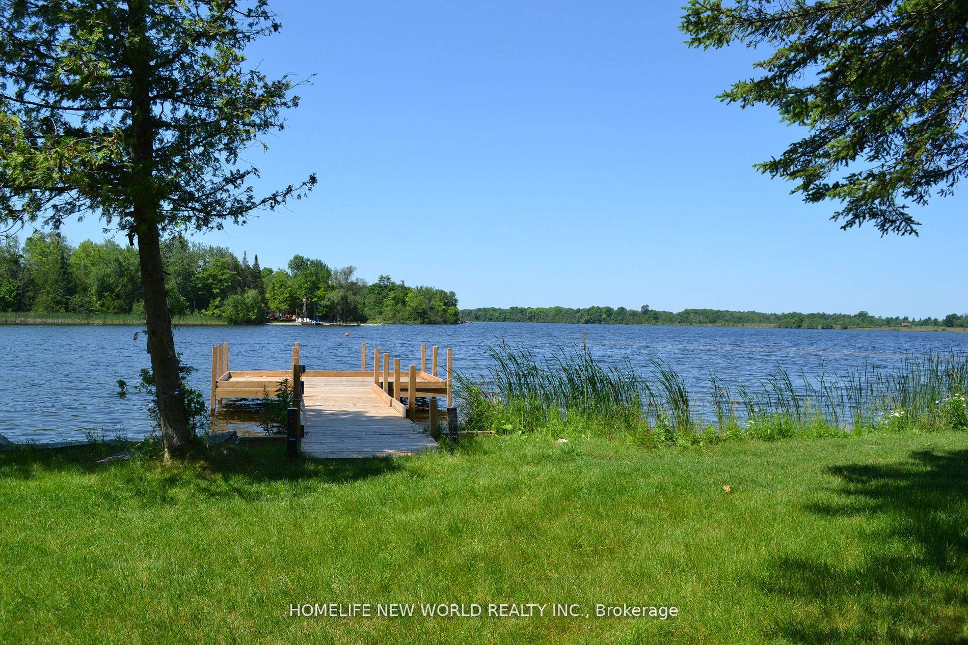 1391 Portage Road, Kawartha Lakes, ON K0M 2B0 photo 2