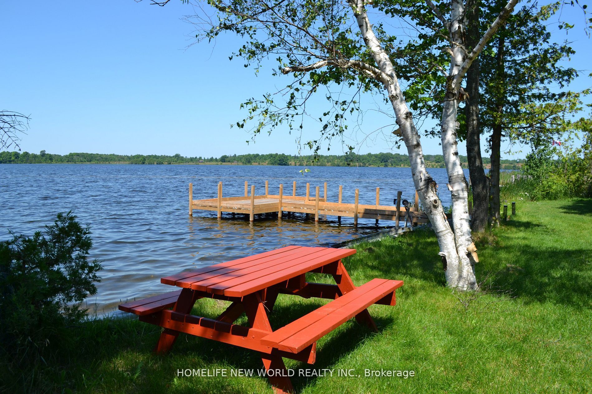 1391 Portage Road, Kawartha Lakes, ON K0M 2B0 photo 4