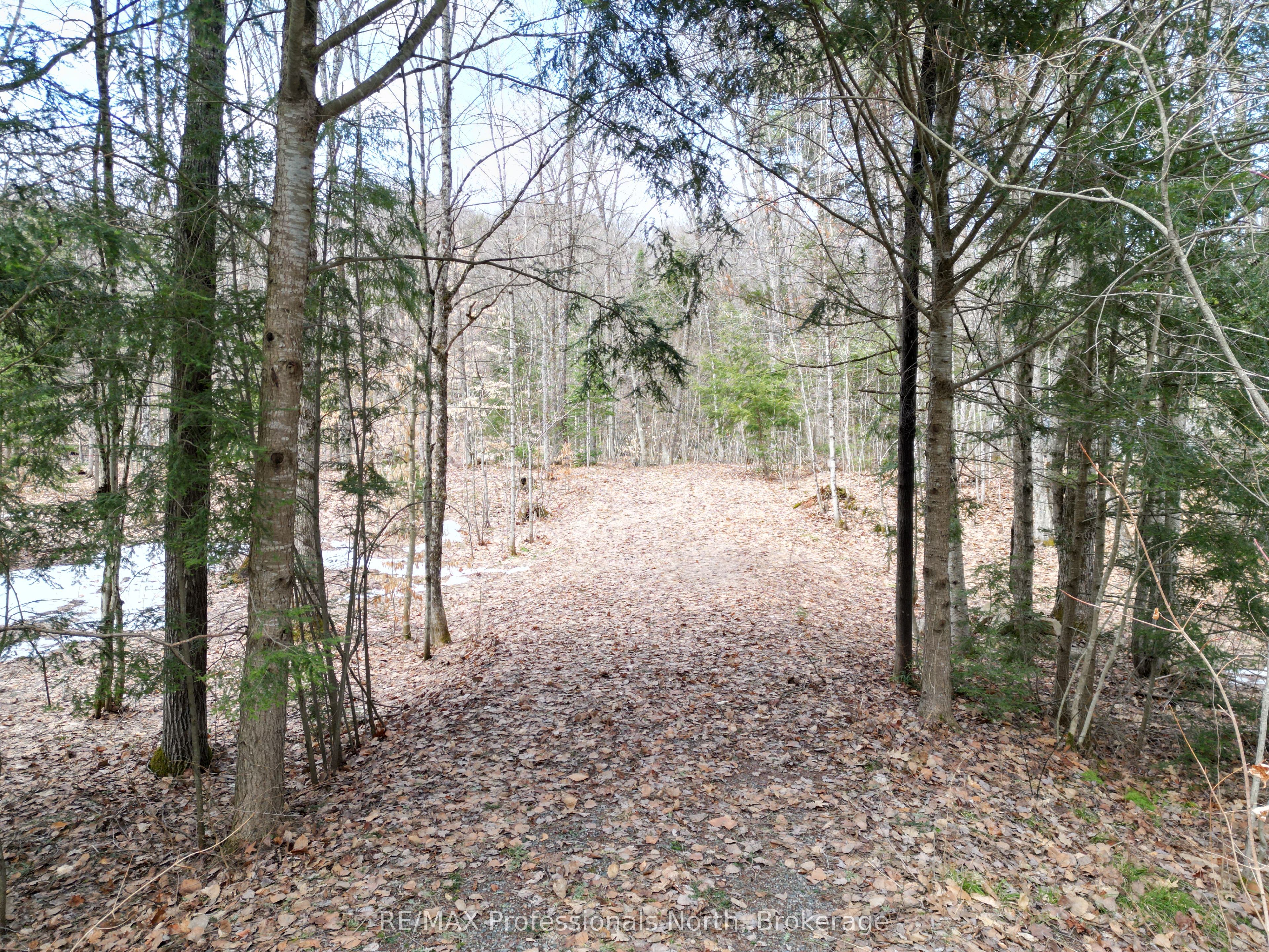 1231 Big Hawk Lake Road, Algonquin Highlands, ON K0M 1J2