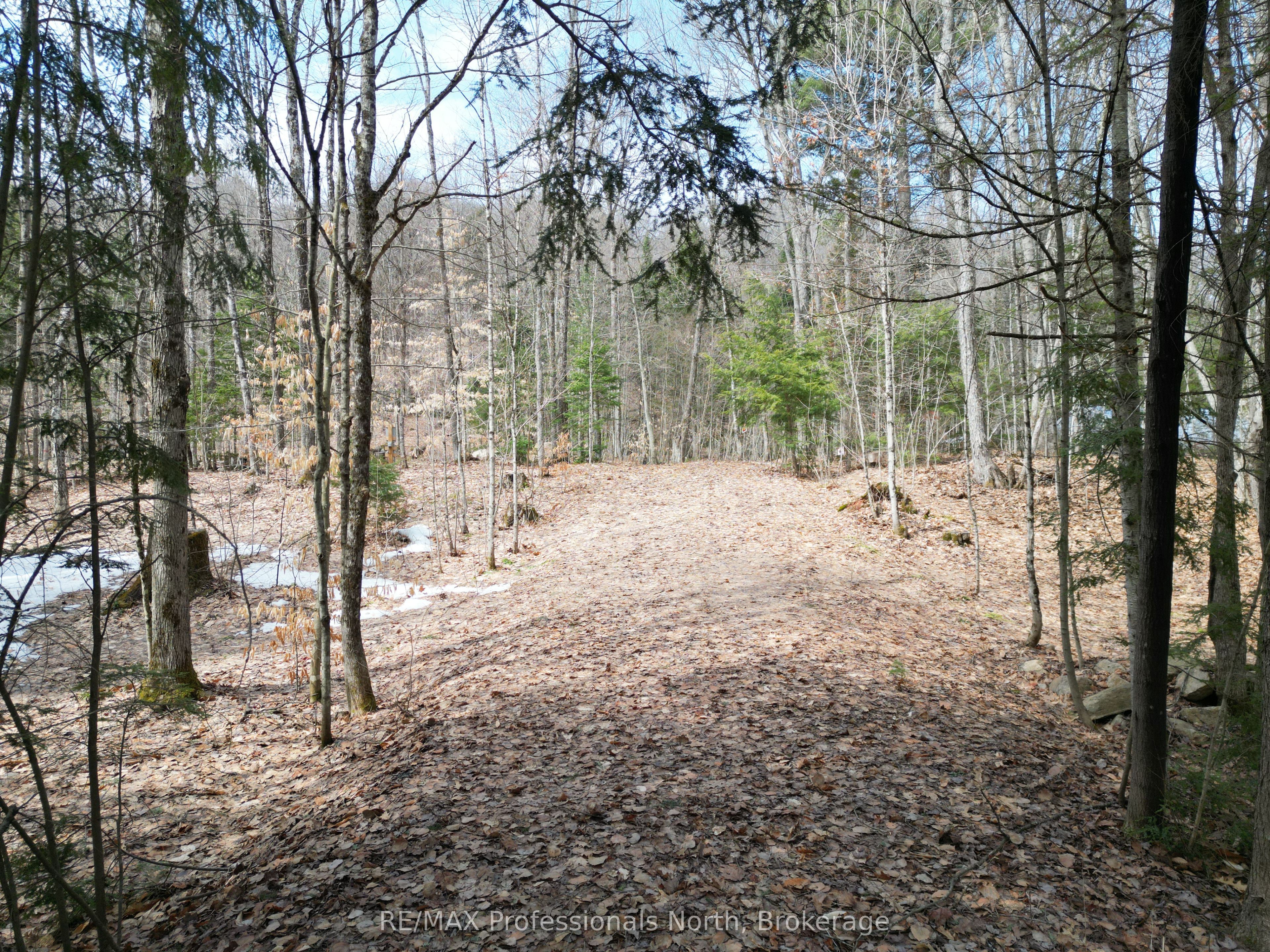 1231 Big Hawk Lake Road, Algonquin Highlands, ON K0M 1J2 photo 2