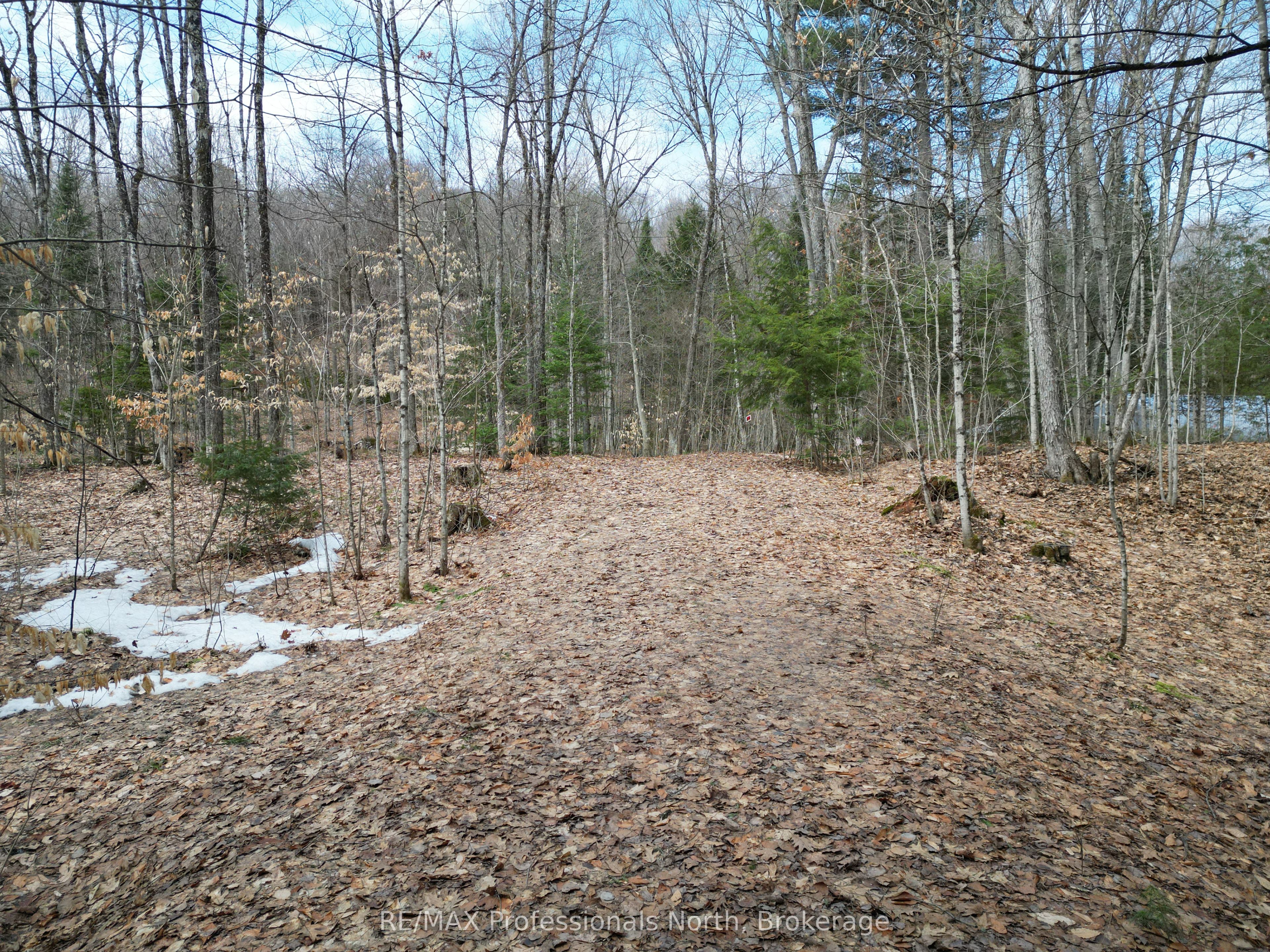 1231 Big Hawk Lake Road, Algonquin Highlands, ON K0M 1J2 photo 3