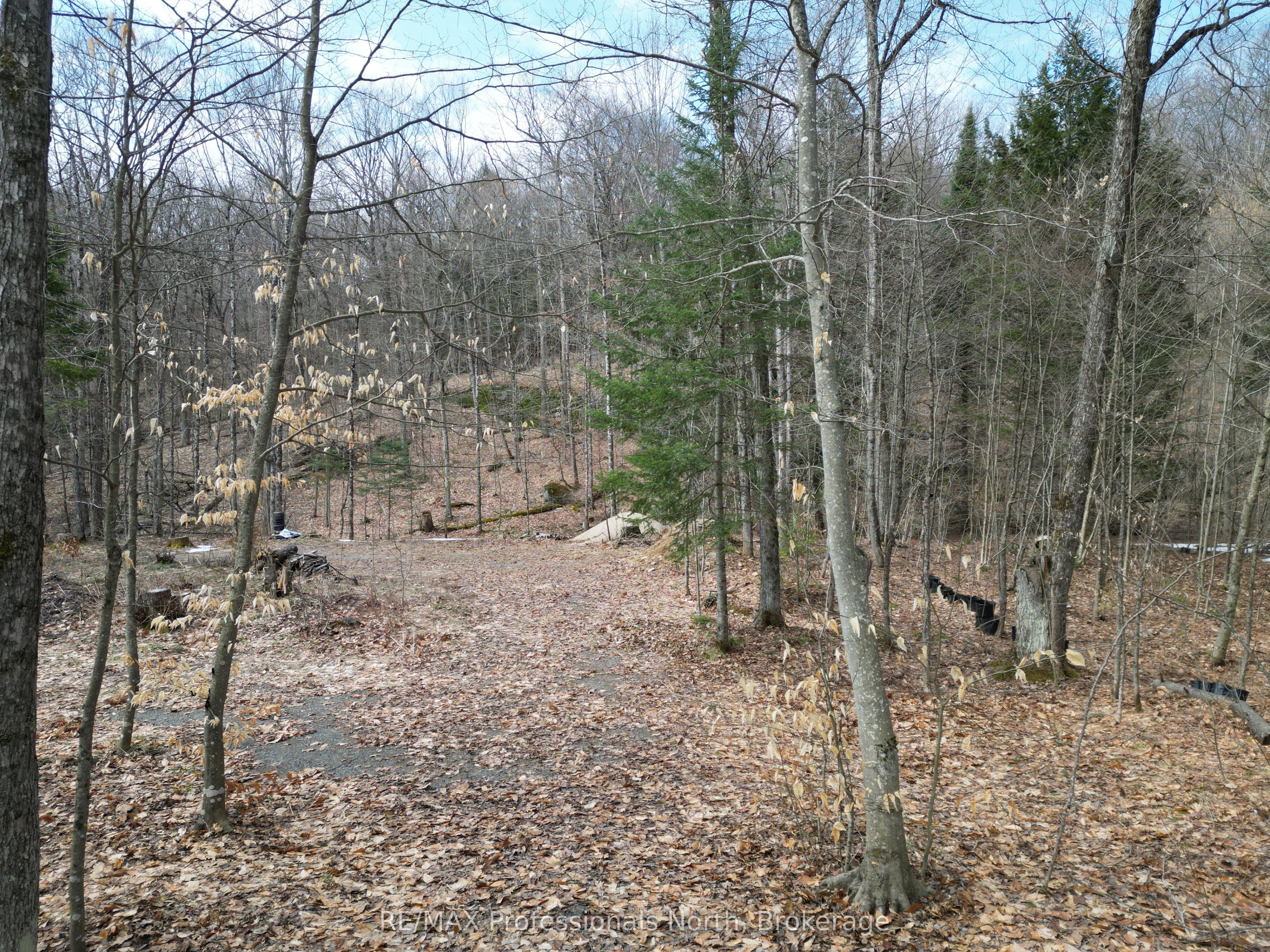 1231 Big Hawk Lake Road, Algonquin Highlands, ON K0M 1J2 photo 4