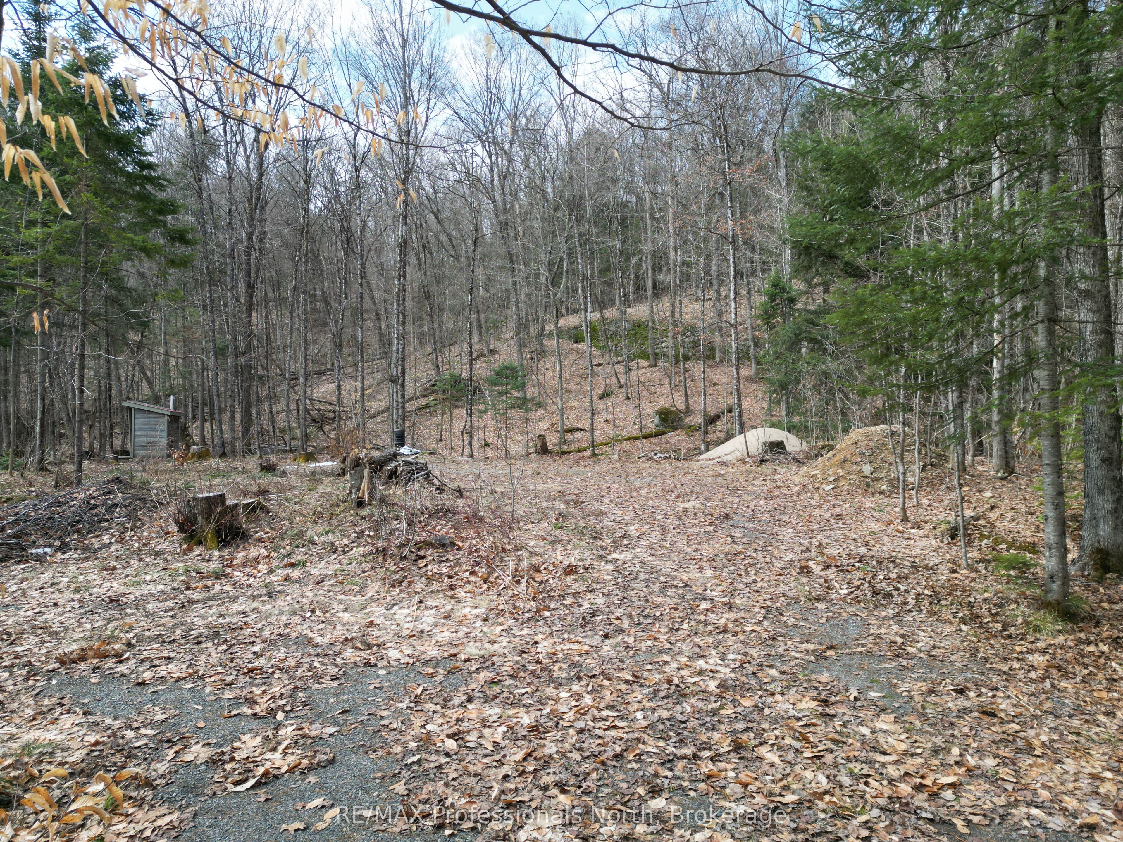 1231 Big Hawk Lake Road, Algonquin Highlands, ON K0M 1J2 photo 5