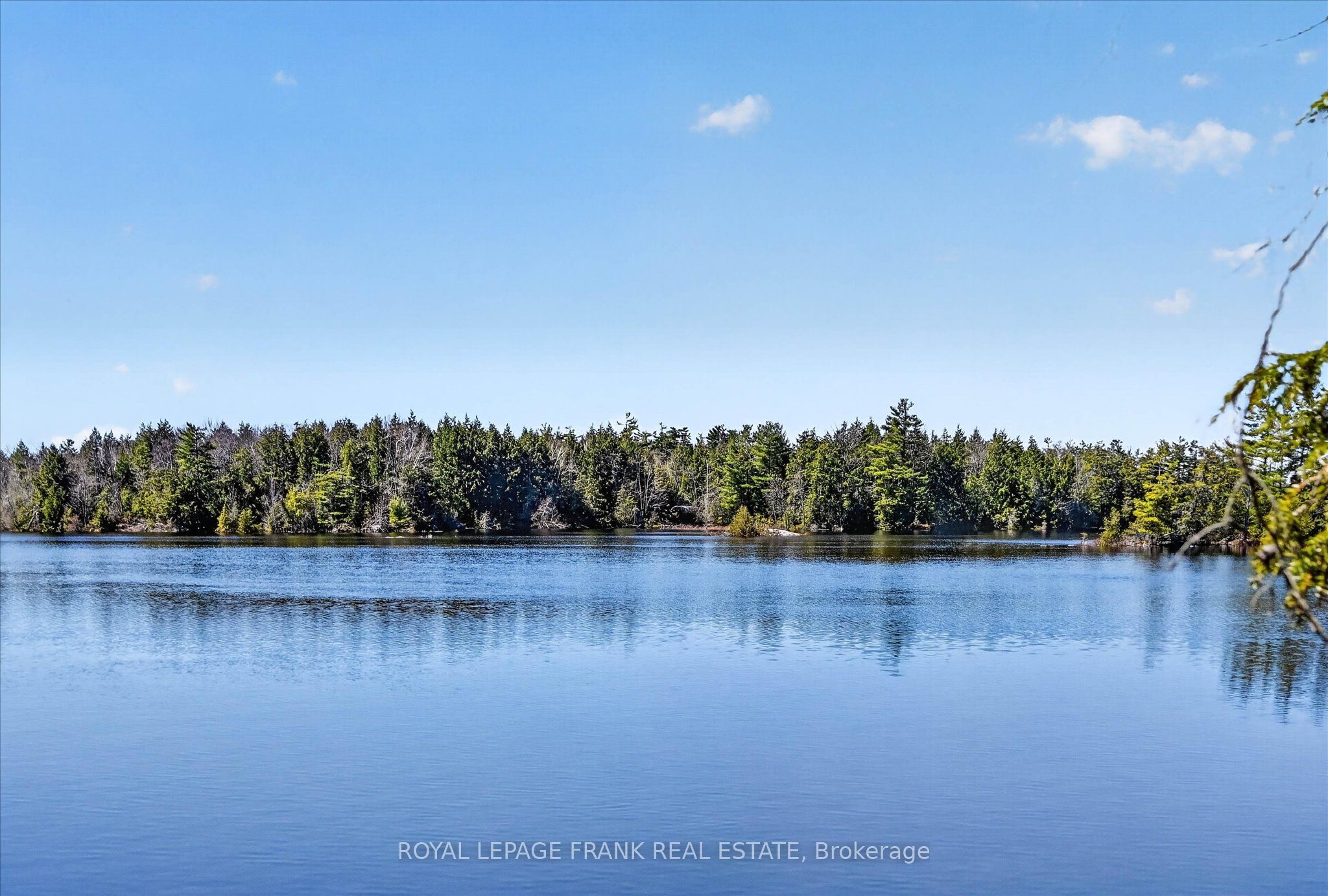 1484 Birchview Road, Douro-Dummer, ON K0L 2H0 photo 3