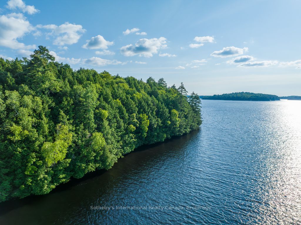 1250 Waldmere Road Lot#2, Bracebridge, ON P1L 1W8 photo 4