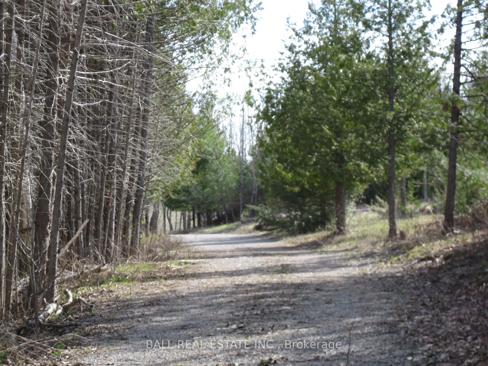 81 Silver Heights Drive, Trent Hills, ON K0L 1Y0 photo 2