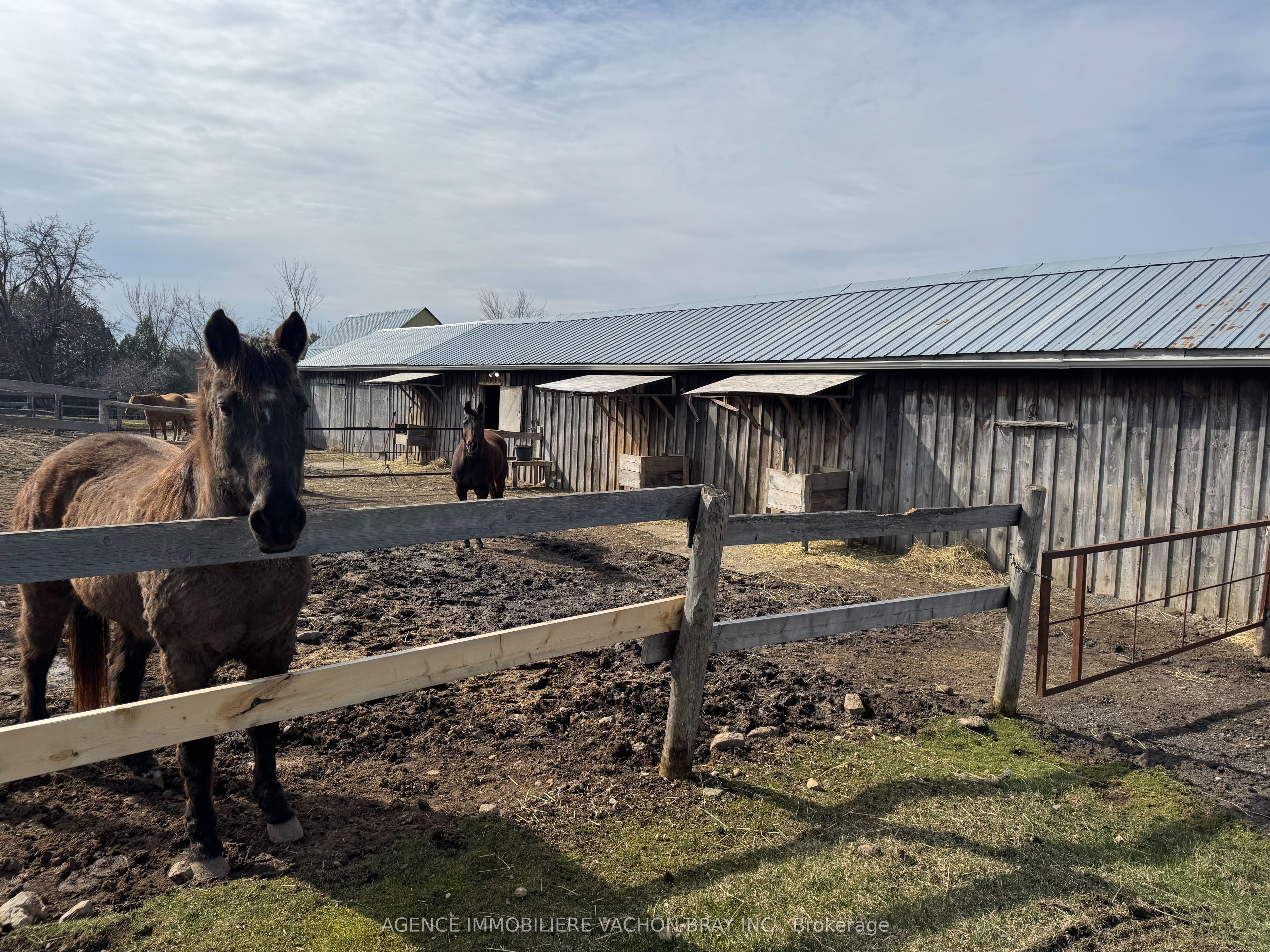 21237 Concession 6 Road, South Glengarry, ON K0C 1Z0 photo 4