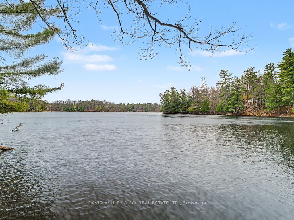 941 Jones Falls Road S, Rideau Lakes, ON K0G 1E0 photo 3