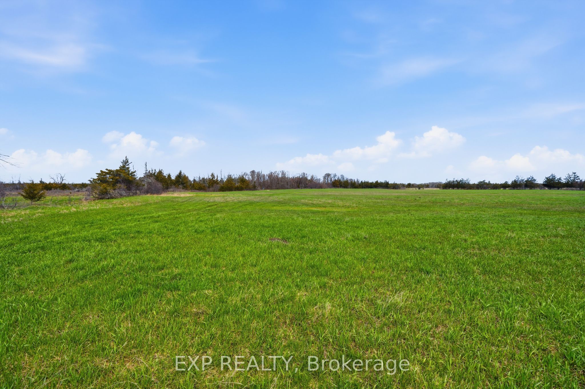 0 Water Road, Prince Edward County, ON K0K 1W0 photo 5