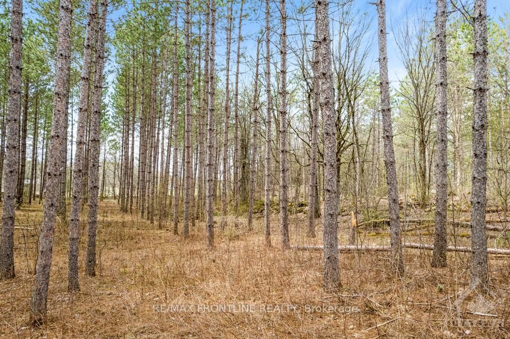 470 11TH LINE S SHERBROOKE Road, Tay Valley, ON K0H 2B0 photo 2