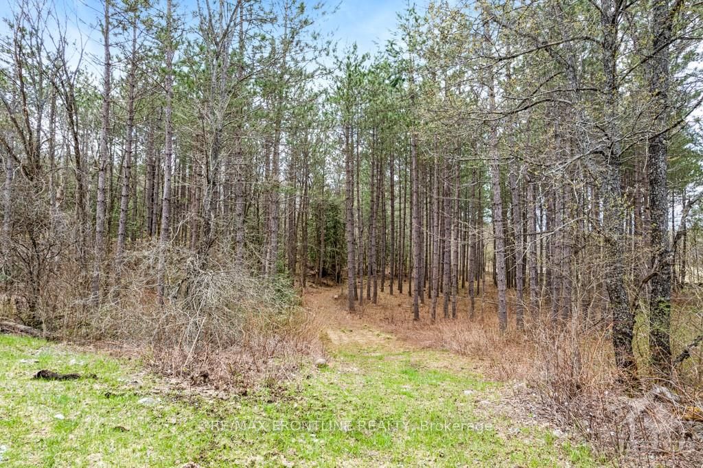 470 11TH LINE S SHERBROOKE Road, Tay Valley, ON K0H 2B0 photo 3