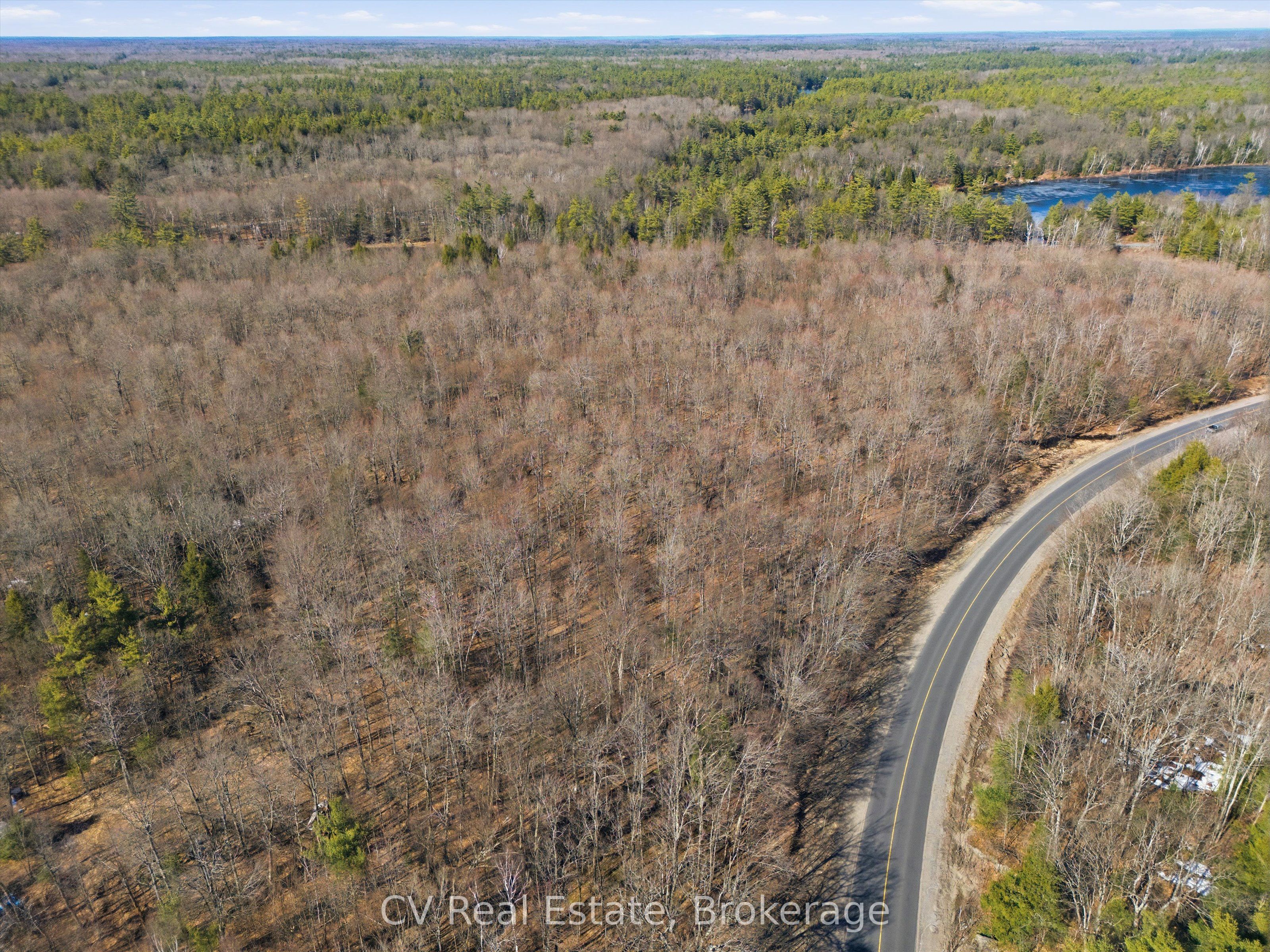 1670 Muskoka Rd 38, Muskoka Lakes, ON P0C 1A0 photo 3