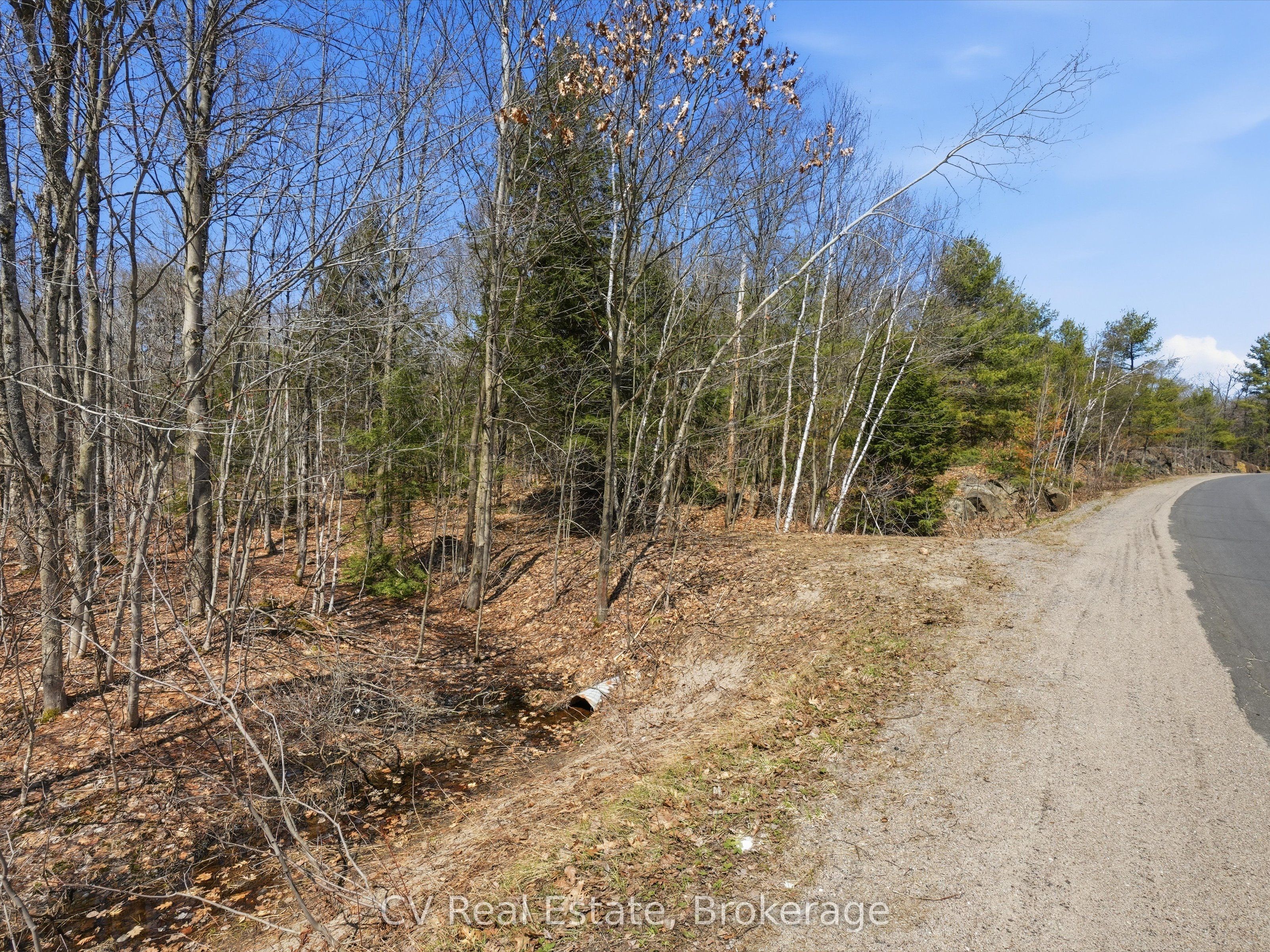 1670 Muskoka Rd 38, Muskoka Lakes, ON P0C 1A0 photo 5