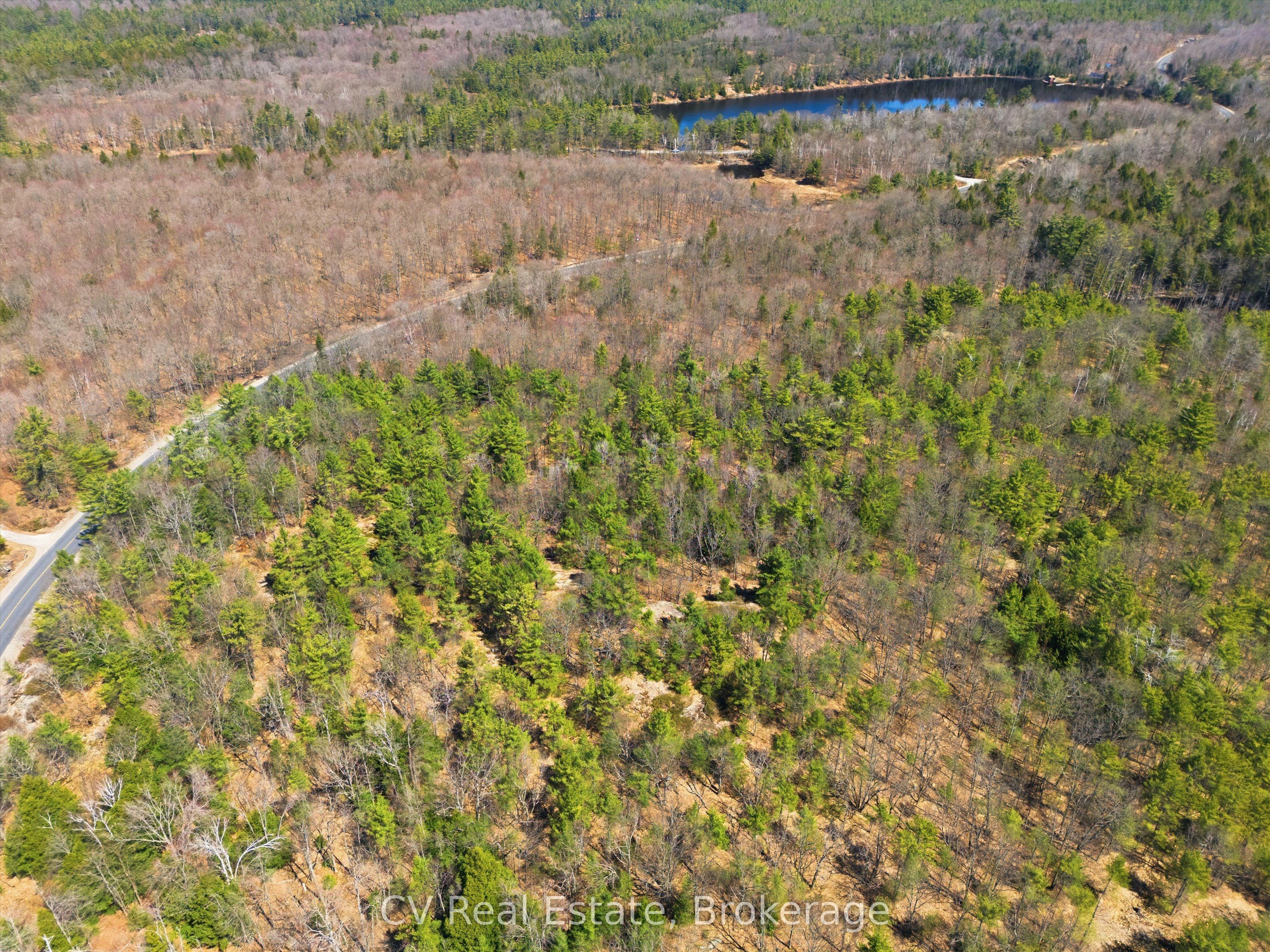 1671 Muskoka Rd 38, Muskoka Lakes, ON P0C 1A0 photo 3