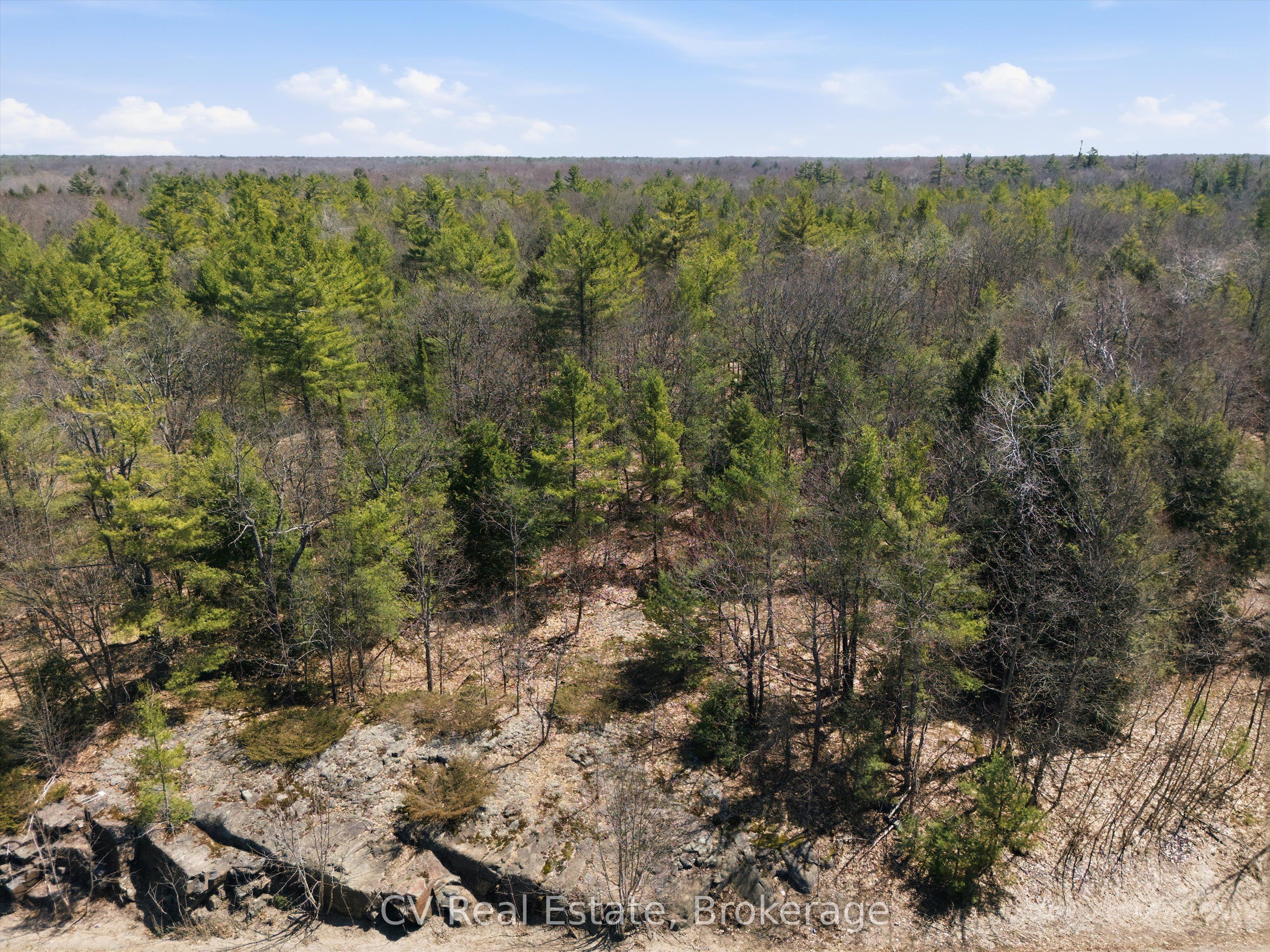 1671 Muskoka Rd 38, Muskoka Lakes, ON P0C 1A0 photo 4