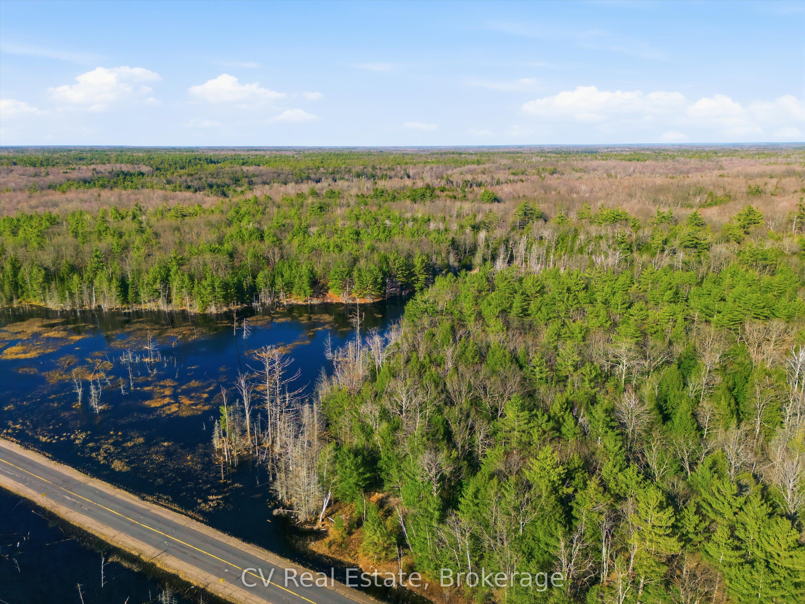 1673 Muskoka Rd 38, Muskoka Lakes, ON P0C 1A0 photo 4