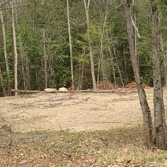 5 Mountain Basin Drive, McDougall, ON P2A 2W9 photo 2