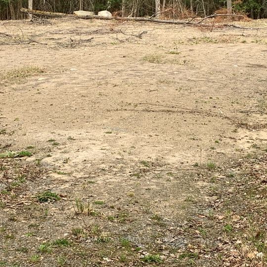 5 Mountain Basin Drive, McDougall, ON P2A 2W9 photo 3