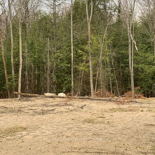 5 Mountain Basin Drive, McDougall, ON P2A 2W9 photo 4