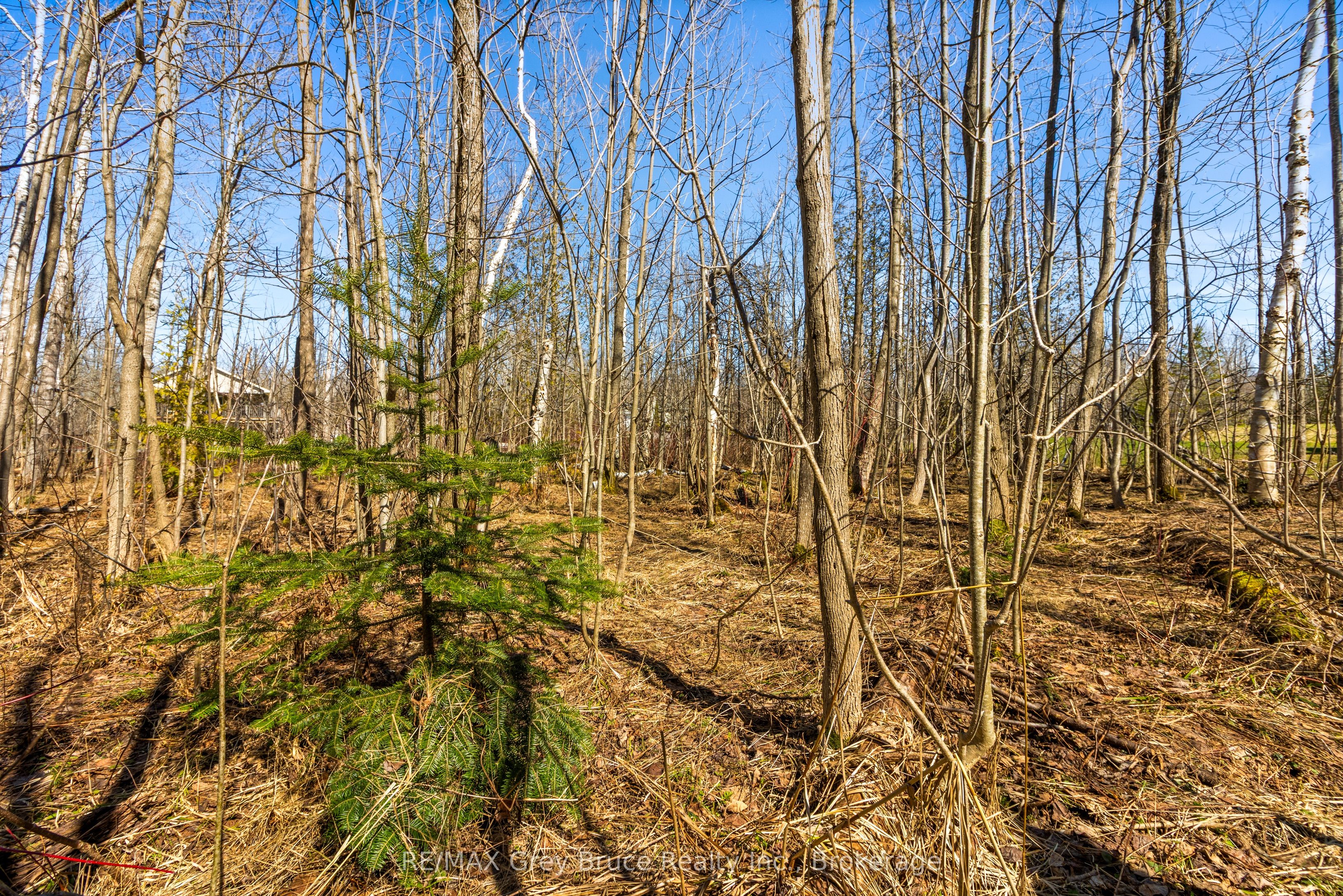 Part 28 Maple Drive, Northern Bruce Peninsula, ON N0H 1Z0 photo 4