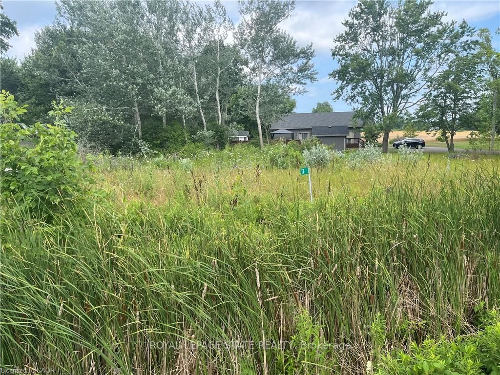 17 Dickhout Road, Haldimand, ON N0A 1K0 photo 2