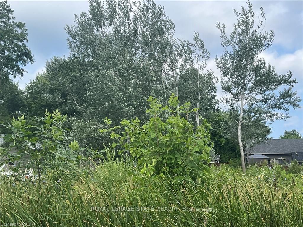 17 Dickhout Road, Haldimand, ON N0A 1K0 photo 5