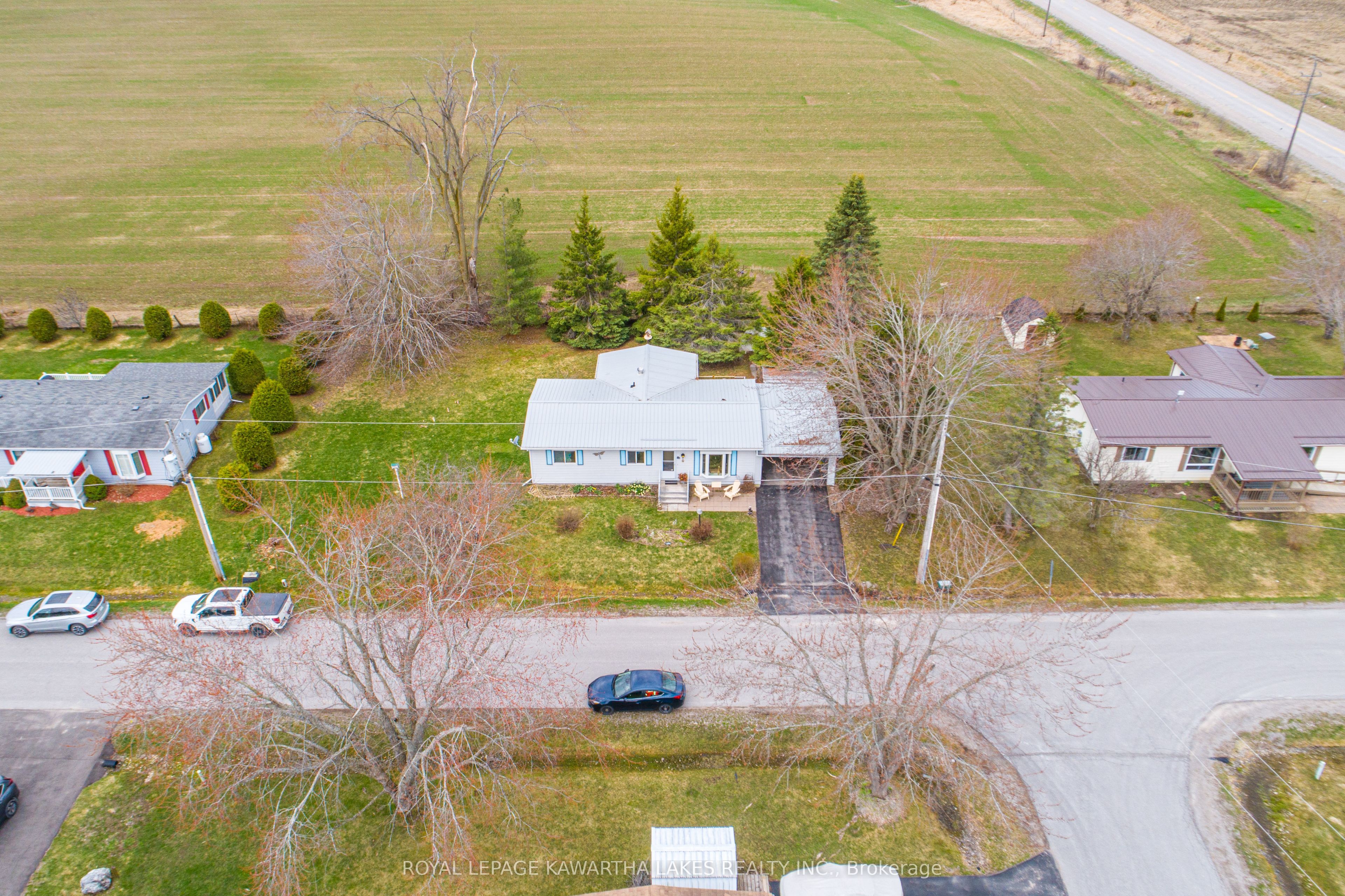 4 Vista Drive, Kawartha Lakes, ON K9V 4R1 photo 3
