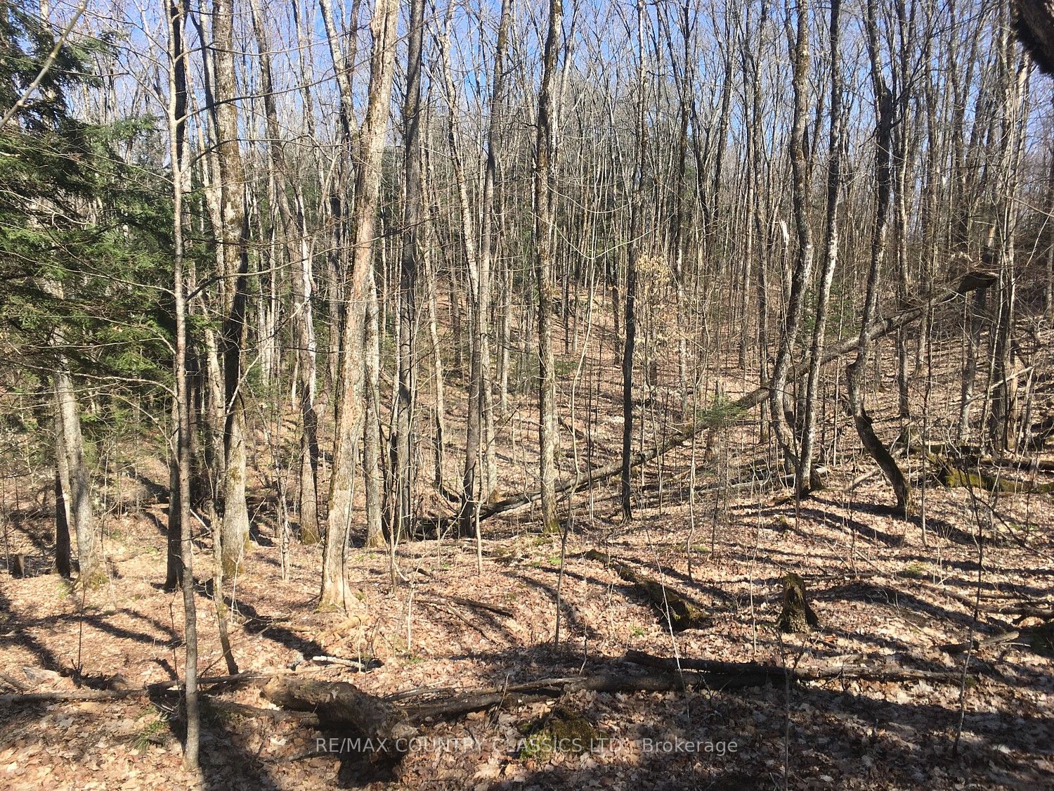 5192 Hwy 620, Wollaston, ON K0L 1P0 photo 2