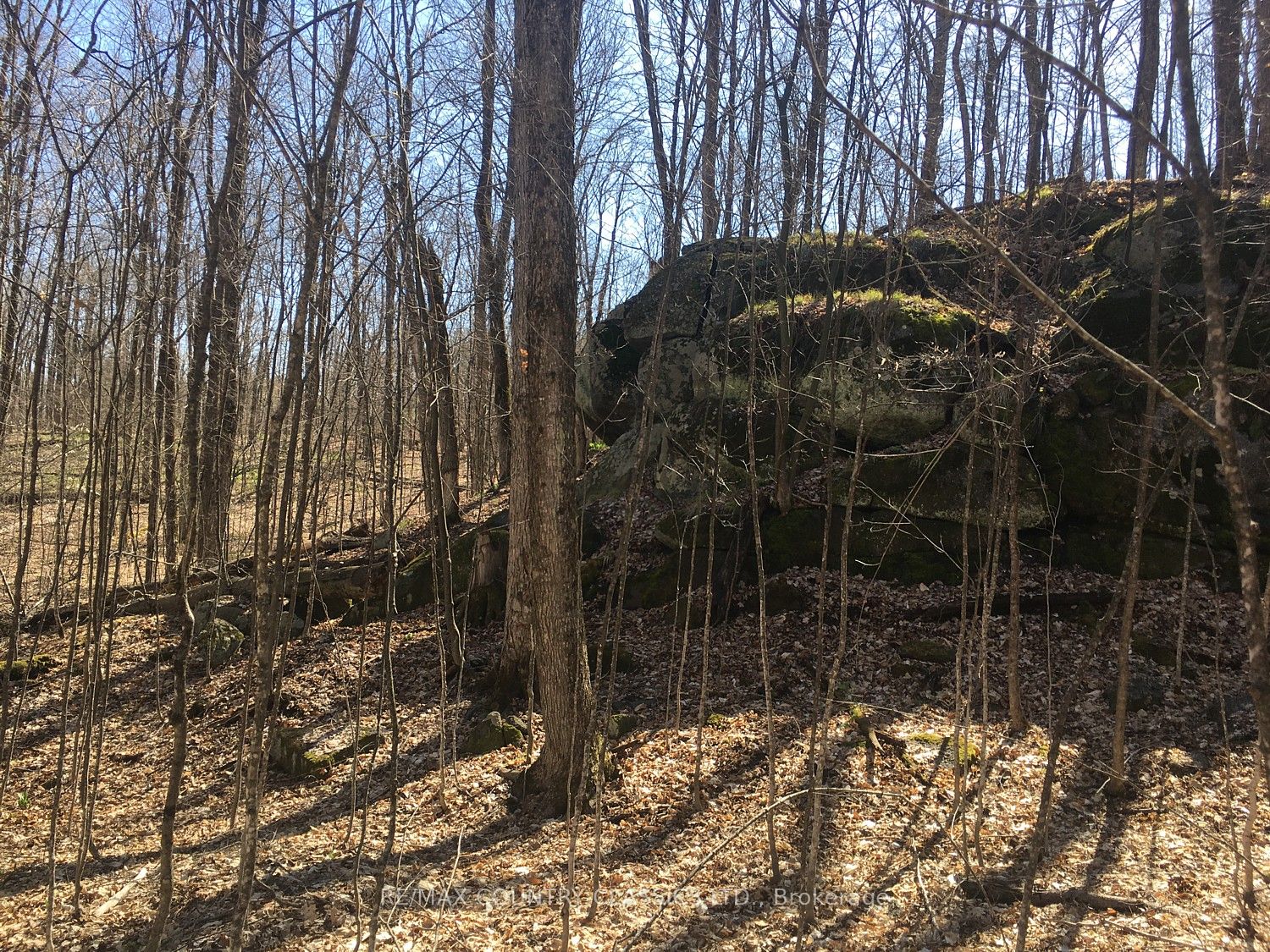 5192 Hwy 620, Wollaston, ON K0L 1P0 photo 4
