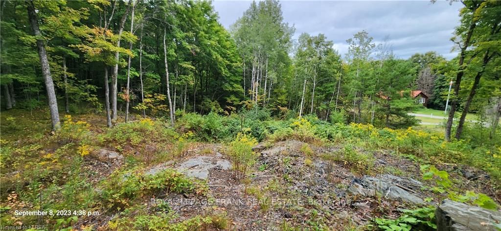 169 Northern Avenue, Trent Lakes, ON K0M 1A0 photo 2