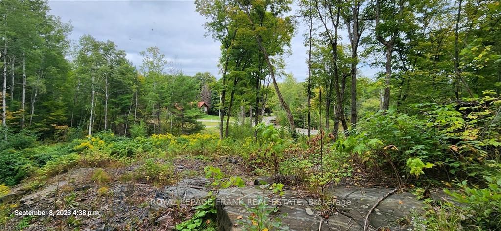 169 Northern Avenue, Trent Lakes, ON K0M 1A0 photo 4