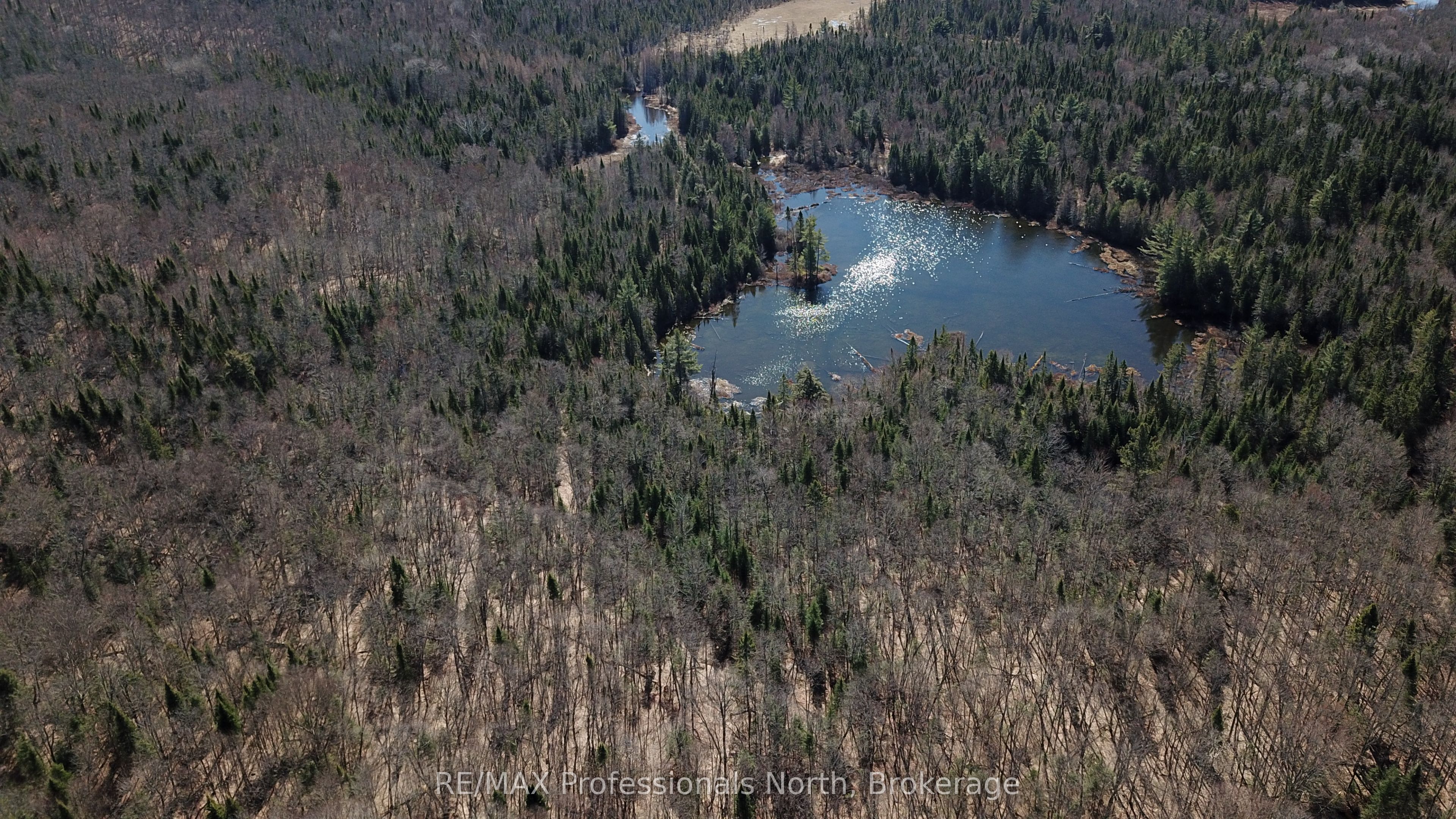 00 SOUTH HORN LAKE Road, Magnetawan, ON P0B 1C0
