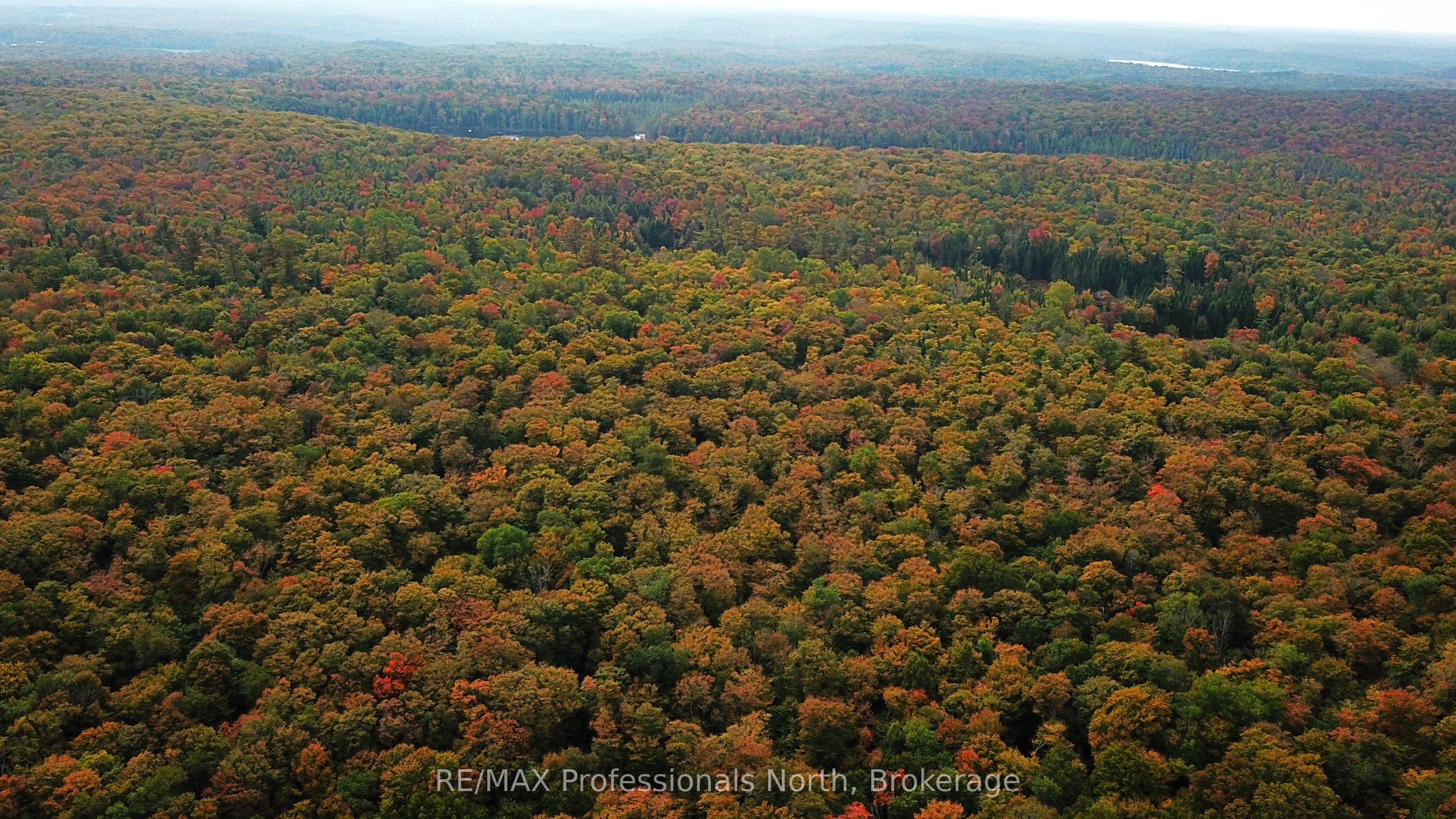 00 SOUTH HORN LAKE Road, Magnetawan, ON P0B 1C0 photo 5