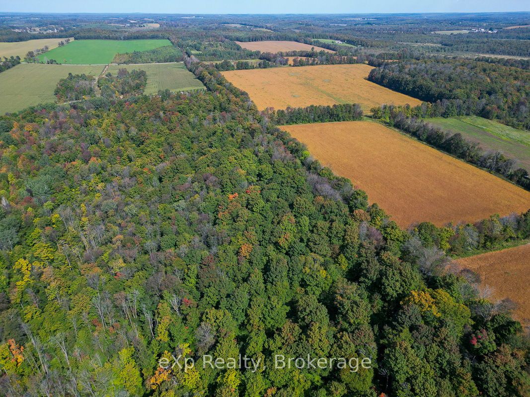 PTLT 30 30th Sideroad NDR, West Grey, ON N0G 1S0 photo 4